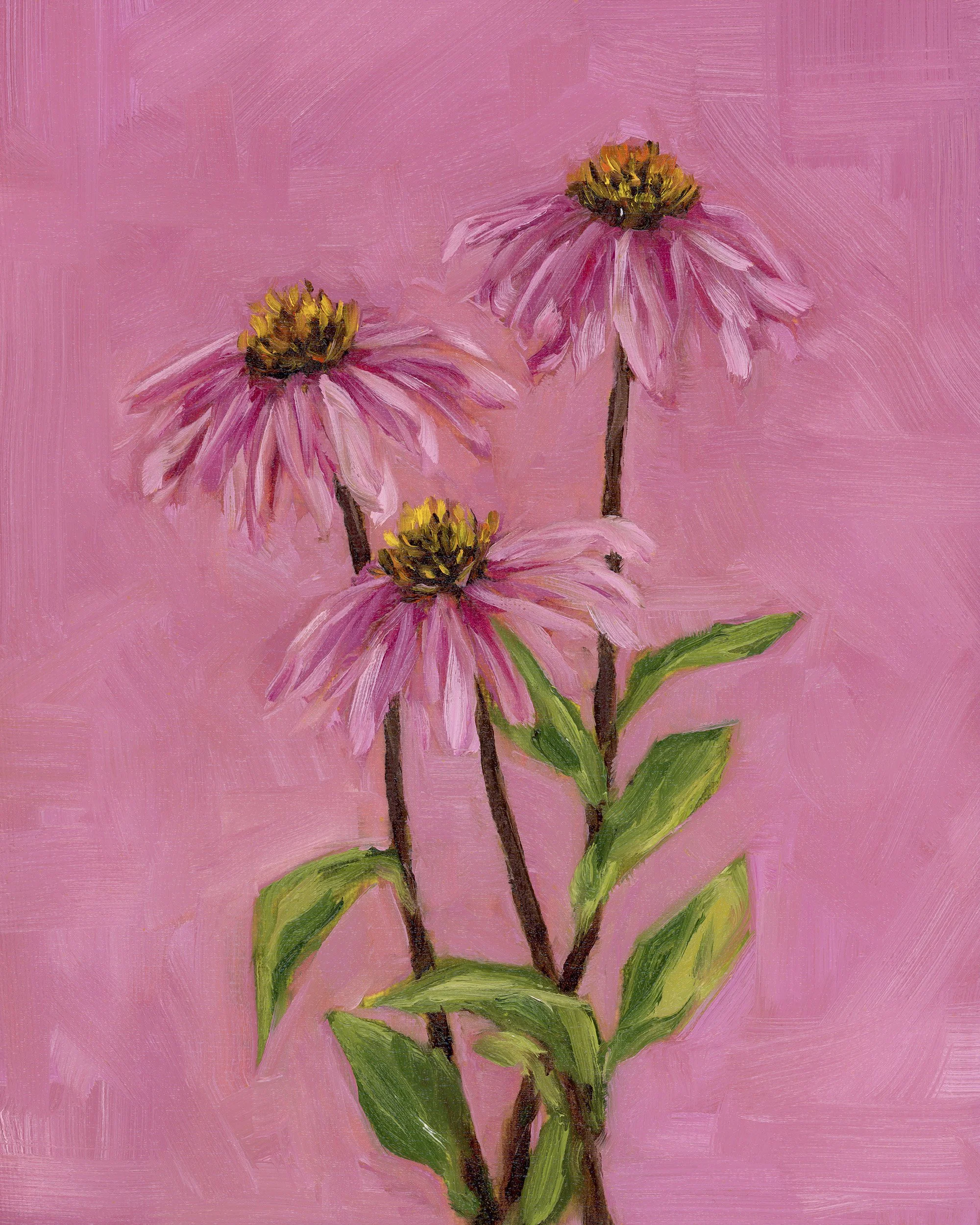 Purple Cone Flower