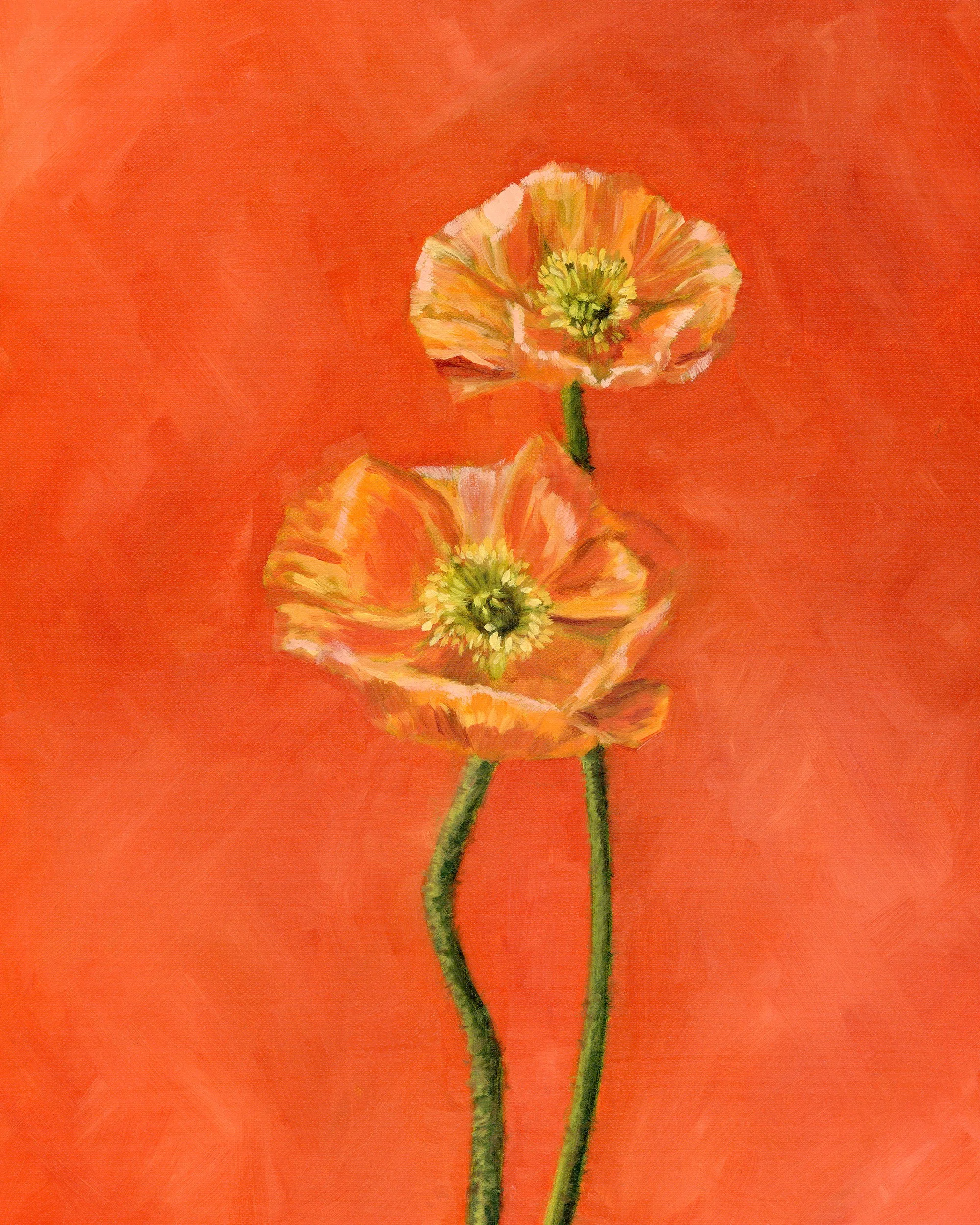 Poppies in Orange