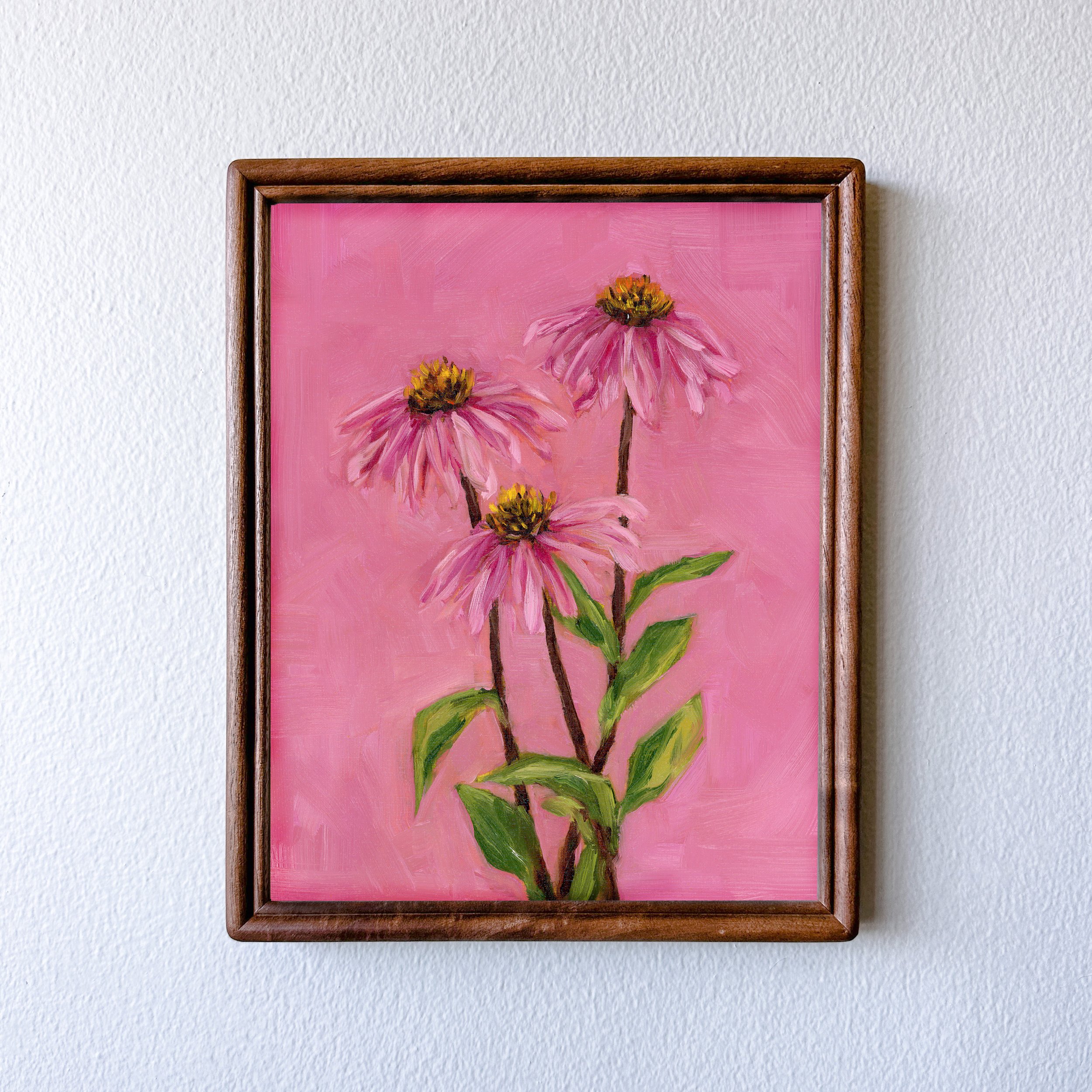 purple-cone-flower-3.jpg