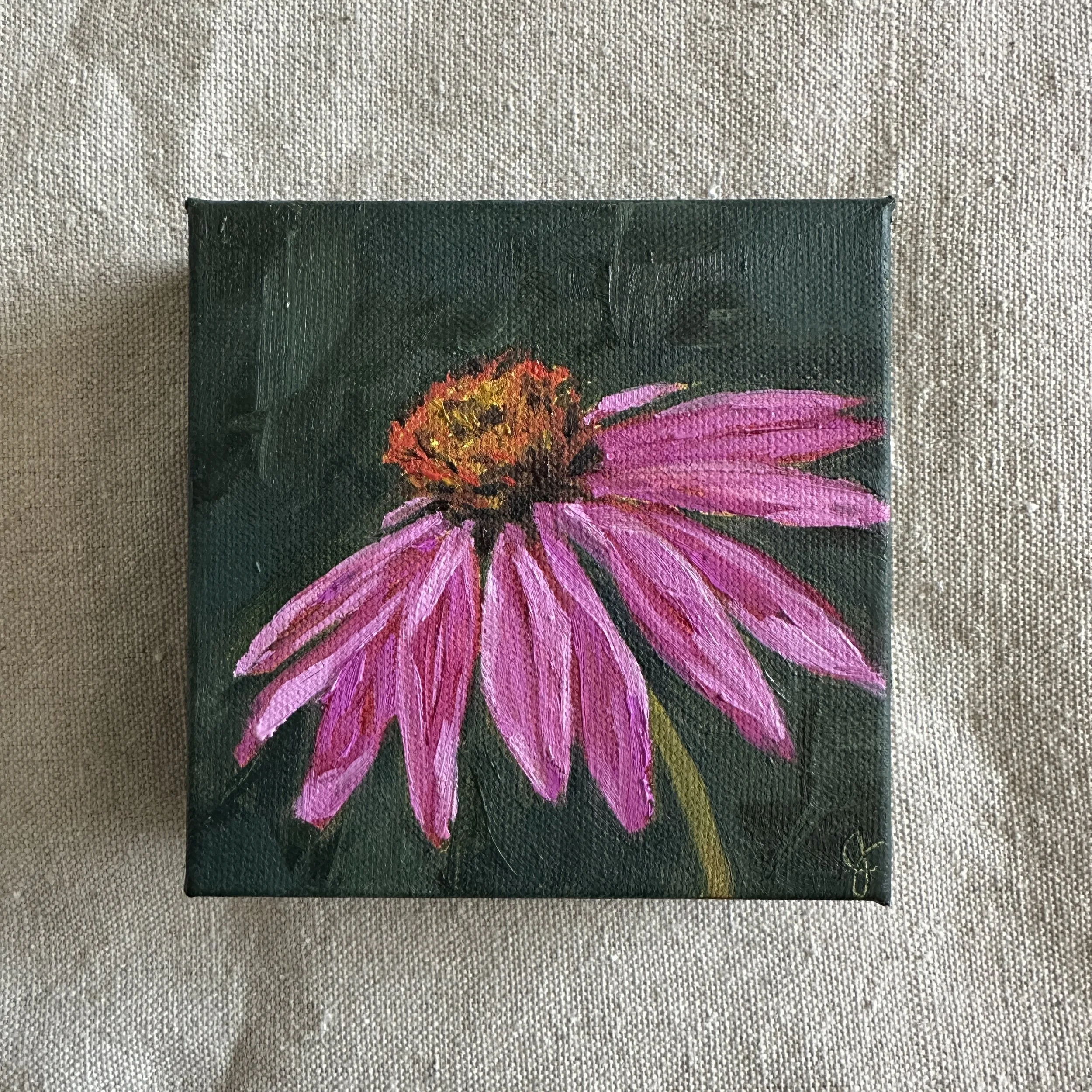 Purple Coneflower