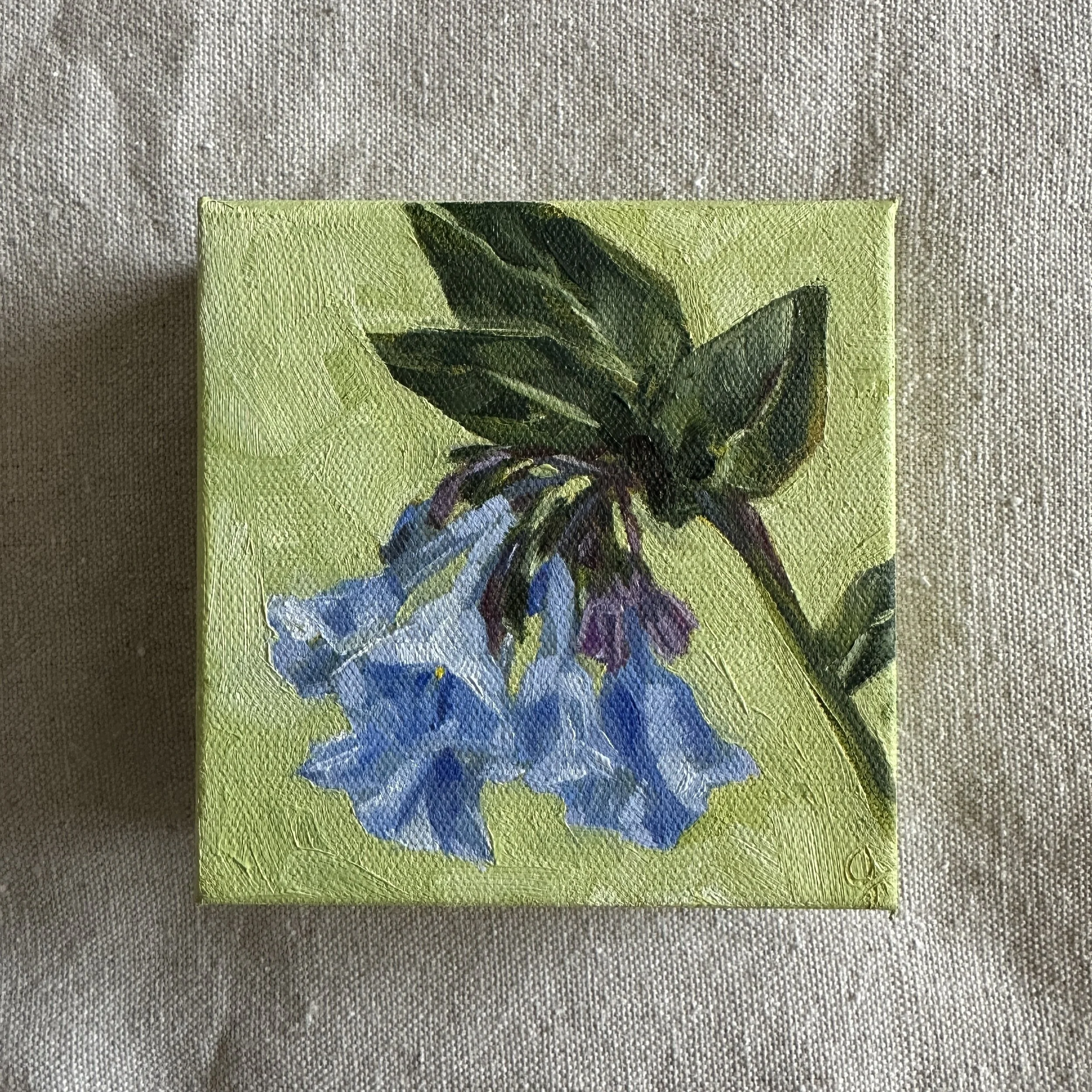 Virginia Bluebells