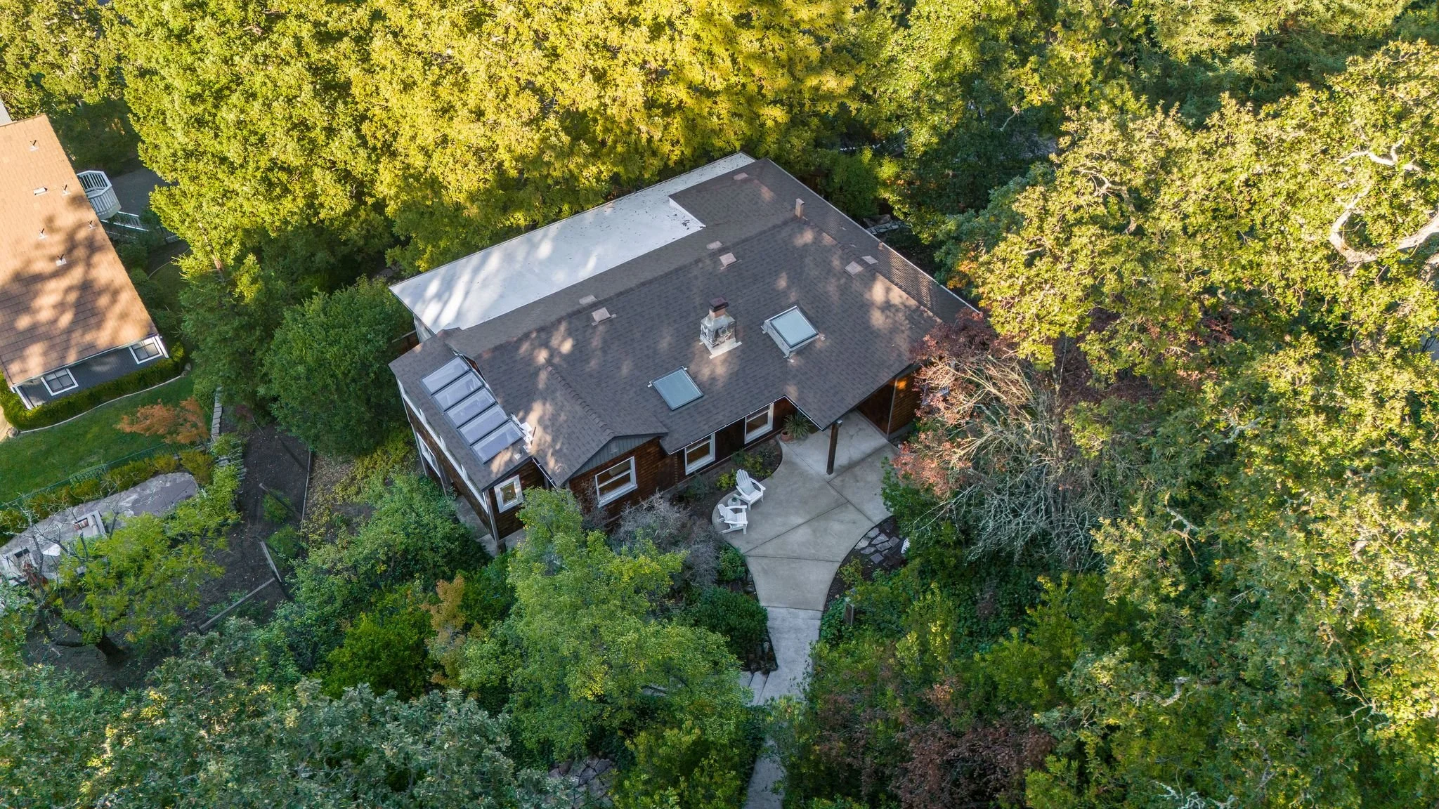 Drone-5.jpg