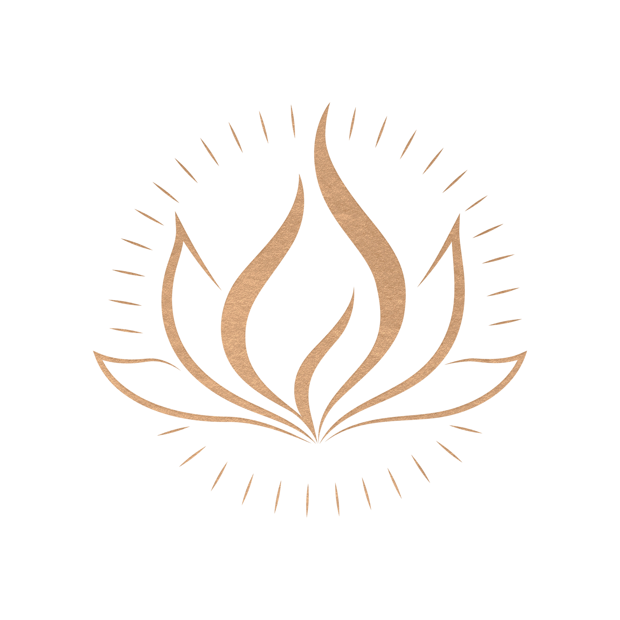 Inner Alchemy - Chronic Illness Recovery