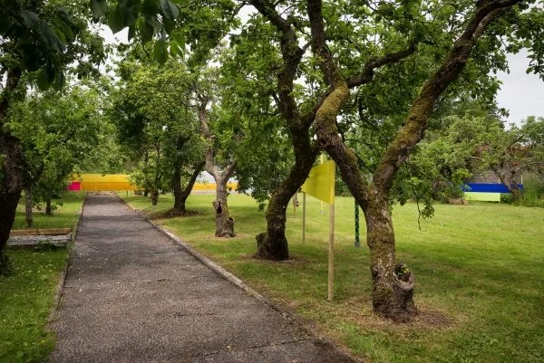 17. 42_venividiphotonetangela-fulchersunstoppingweb22.jpg