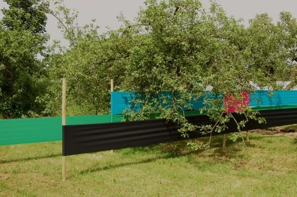 7. 42_sunstopping3.jpg