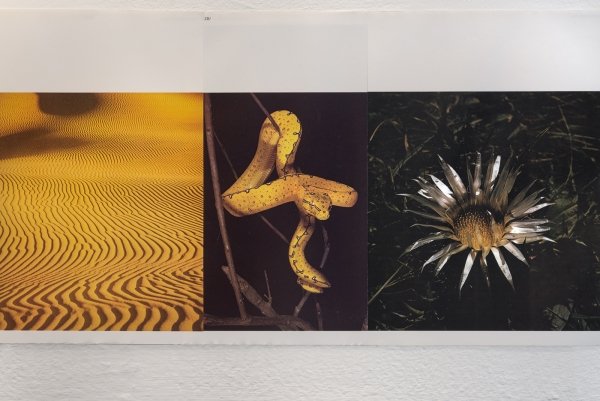 4. 39_venividiphotonetgalway-arts-centreangelahighres33.jpg