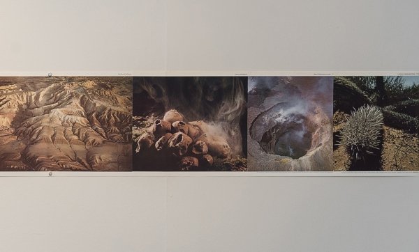 16. 39_cropvenividiphotonetgalway-arts-centreangelahighres29.jpg