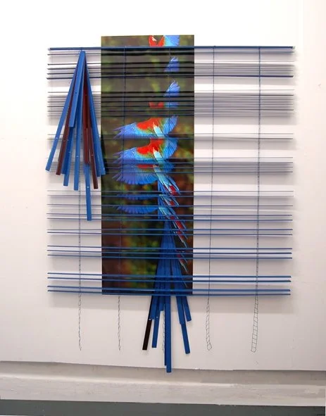 Forced Exposure, 2013