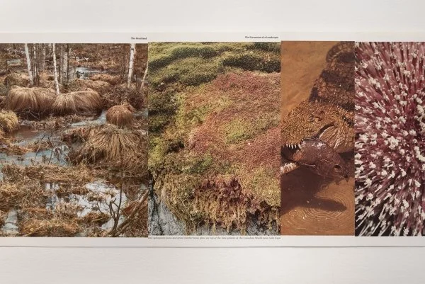 11. 39_venividiphotonetgalway-arts-centreangelahighres32.jpg