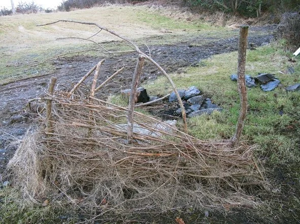 2. 33_frog-fayre-4_v2.jpg