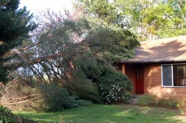 Tree Fallen on House Photo