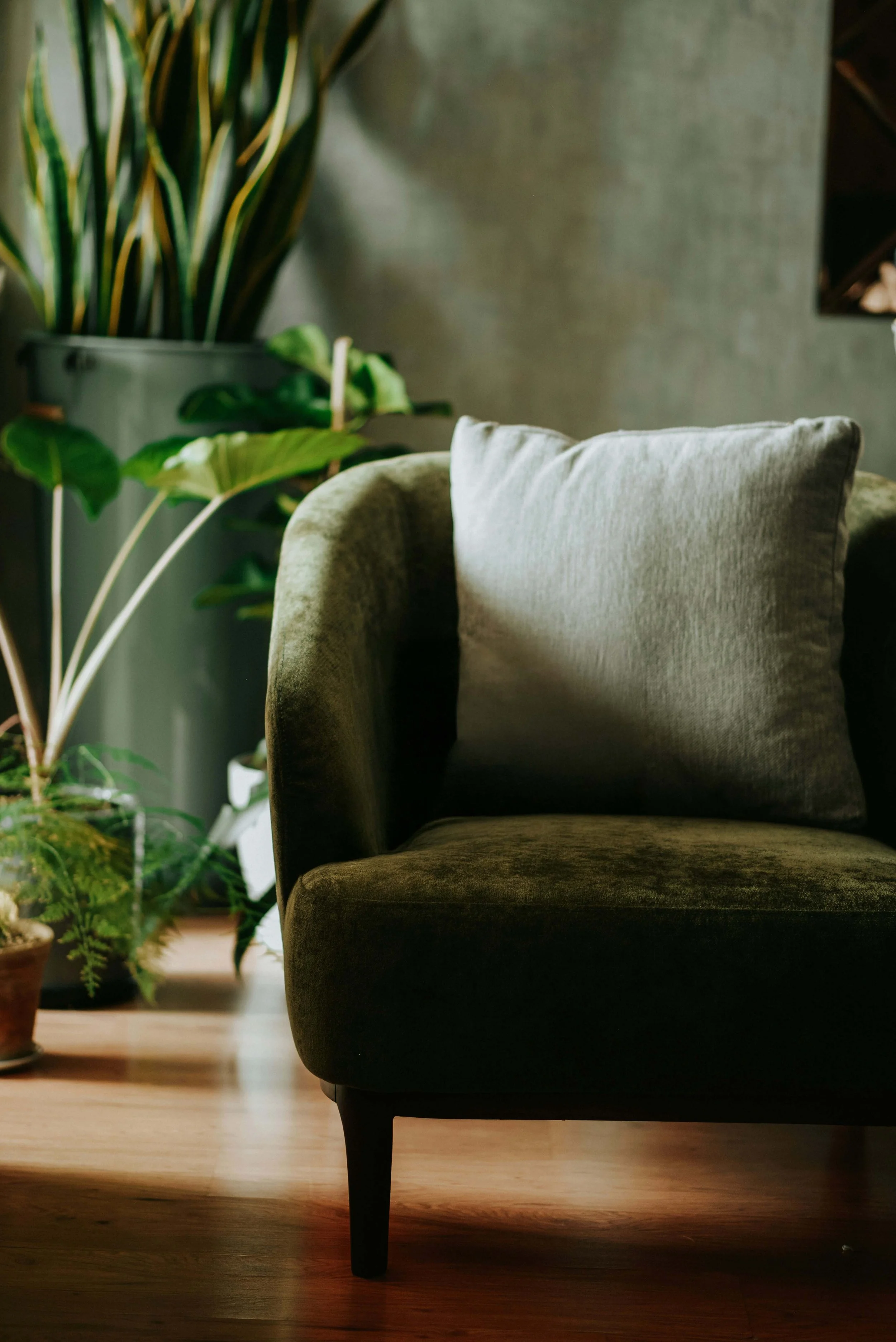 Green velvet armchair with a gray pillow, surrounded by houseplants, on a wooden floor