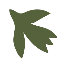 green leaf silhouette on white background