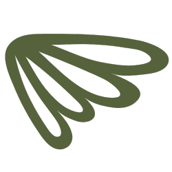 green abstract wing-like shape symbol