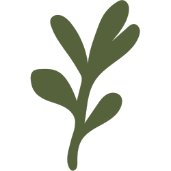 Simple illustration of a green leafy branch with three leaves