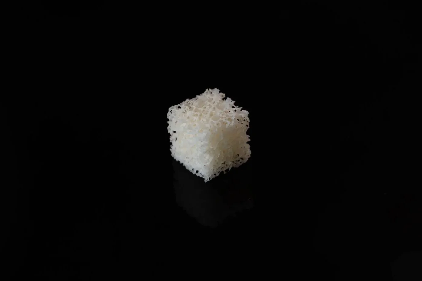 11_Cancellous+cube.jpg