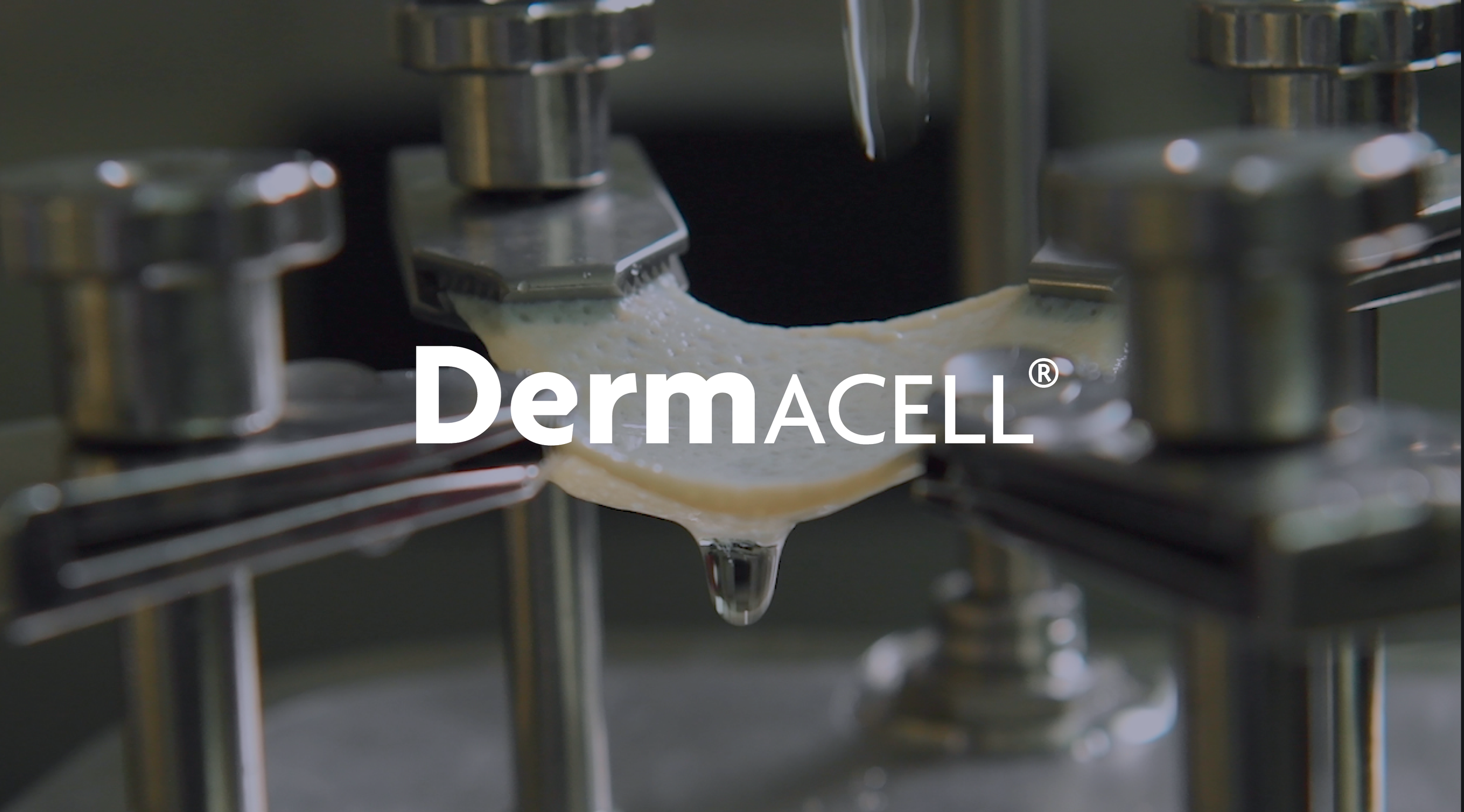 Dermacell Product Launch