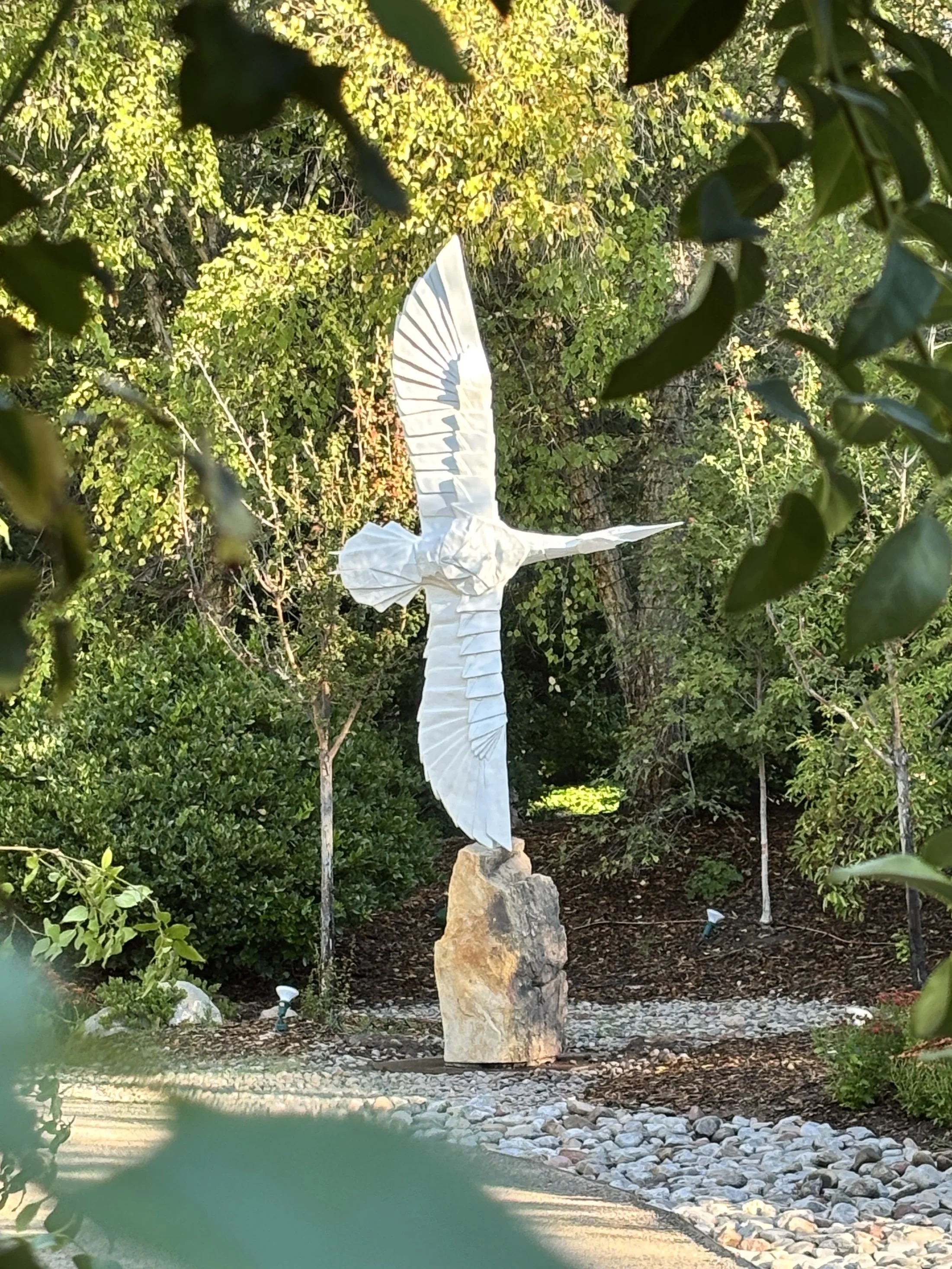 Flying Folds at ABQ BioPark Botanic Garden