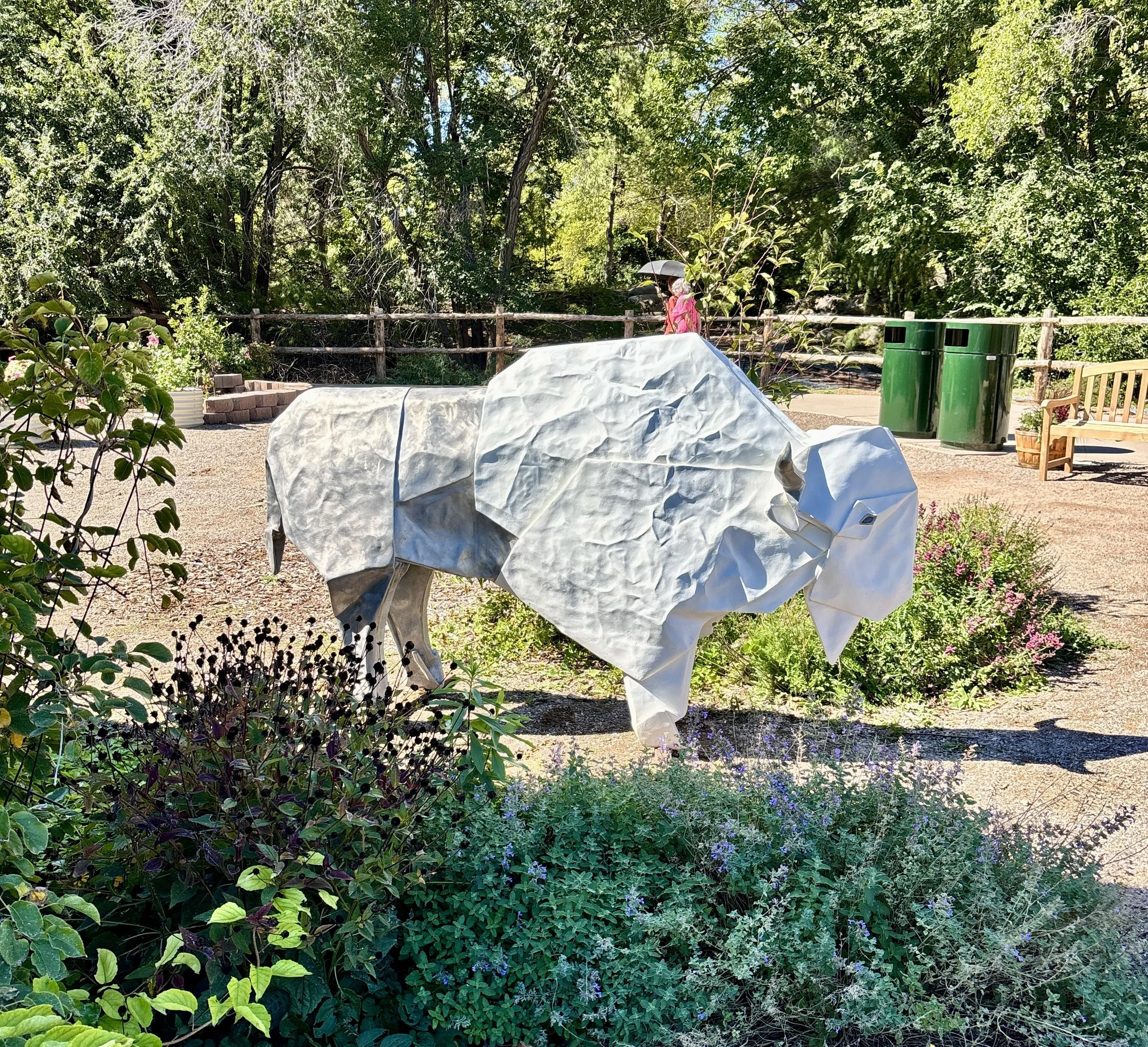 White Bison at ABQ BioPark Botanic Garden