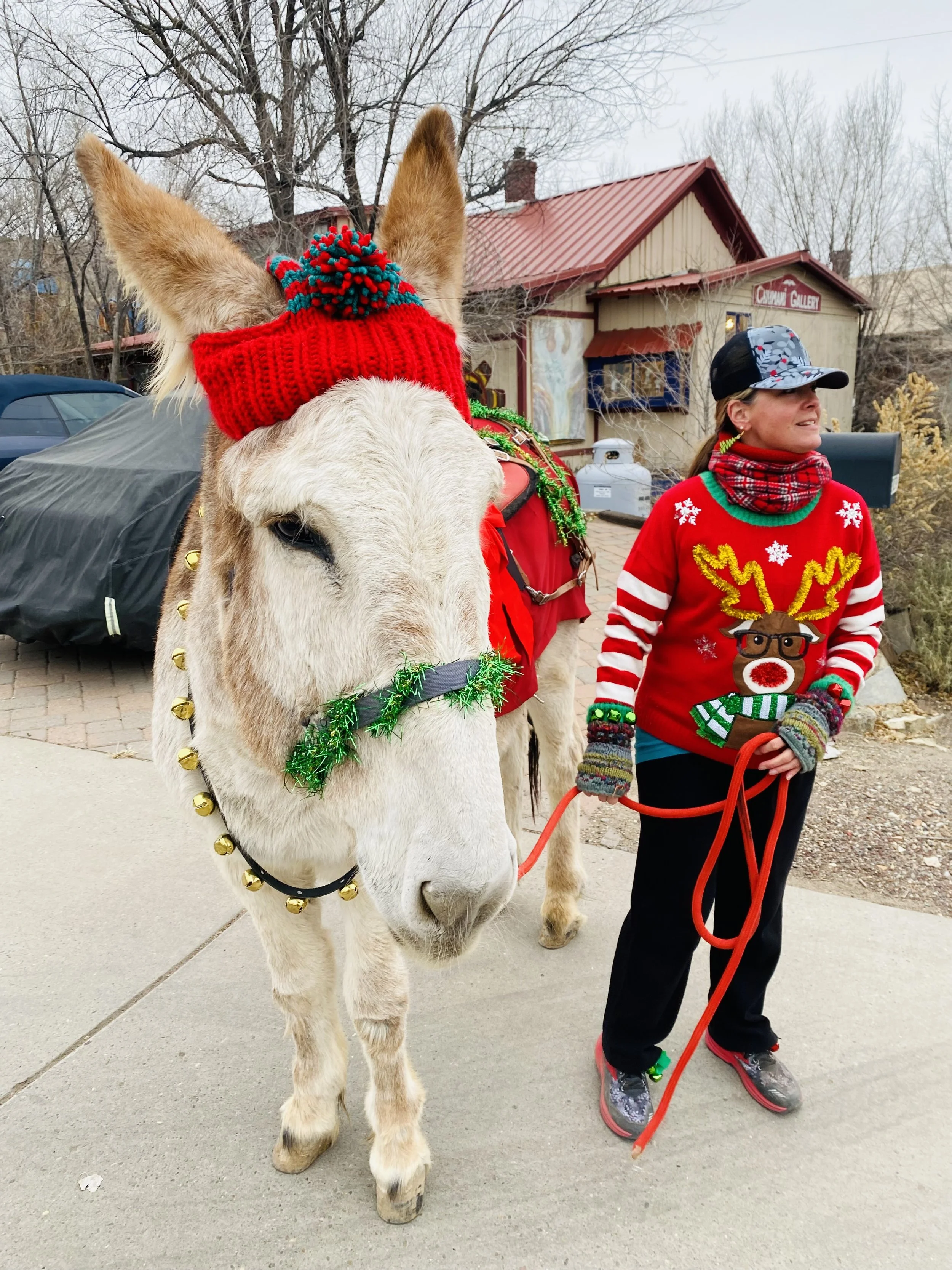 Madrid Christmas parade showing a donkey in holiday garb with a human dressed as an elf