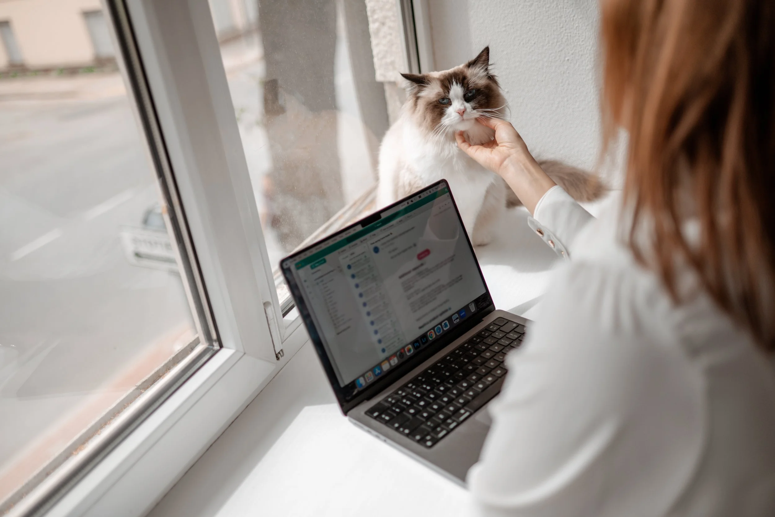 Deavi Marketing laptop and cat aesthetic