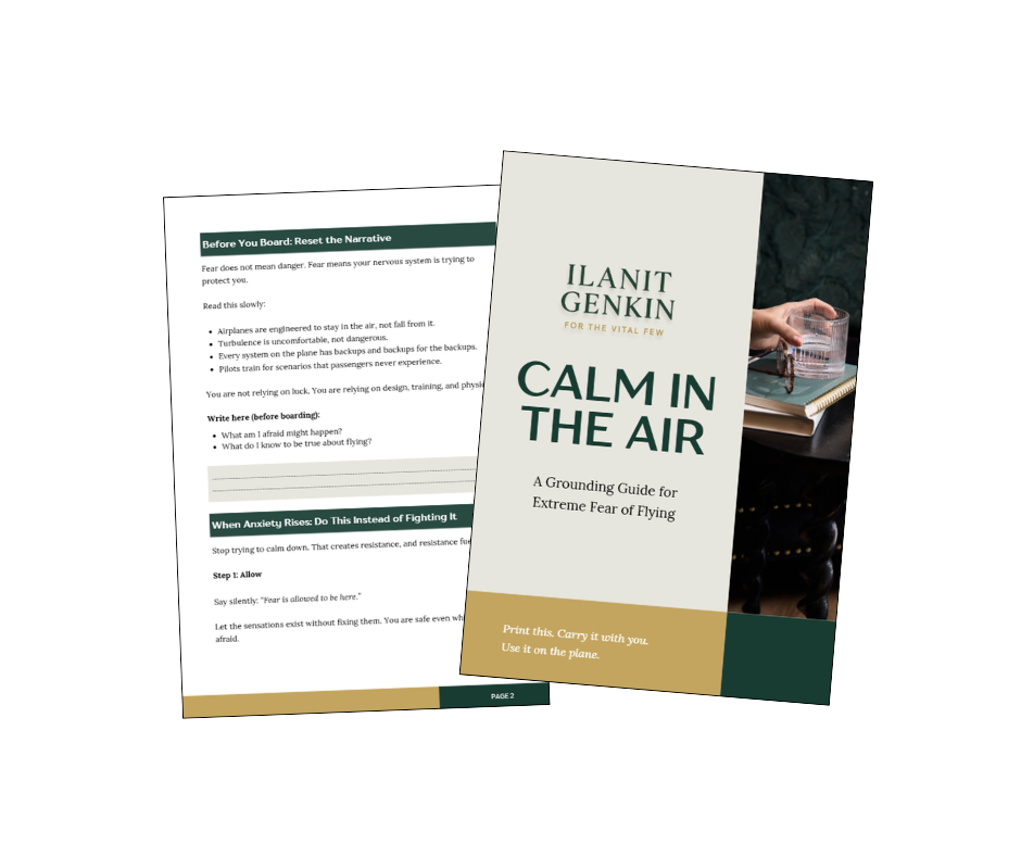 Ilanit's Calm In The Air - Preview.png