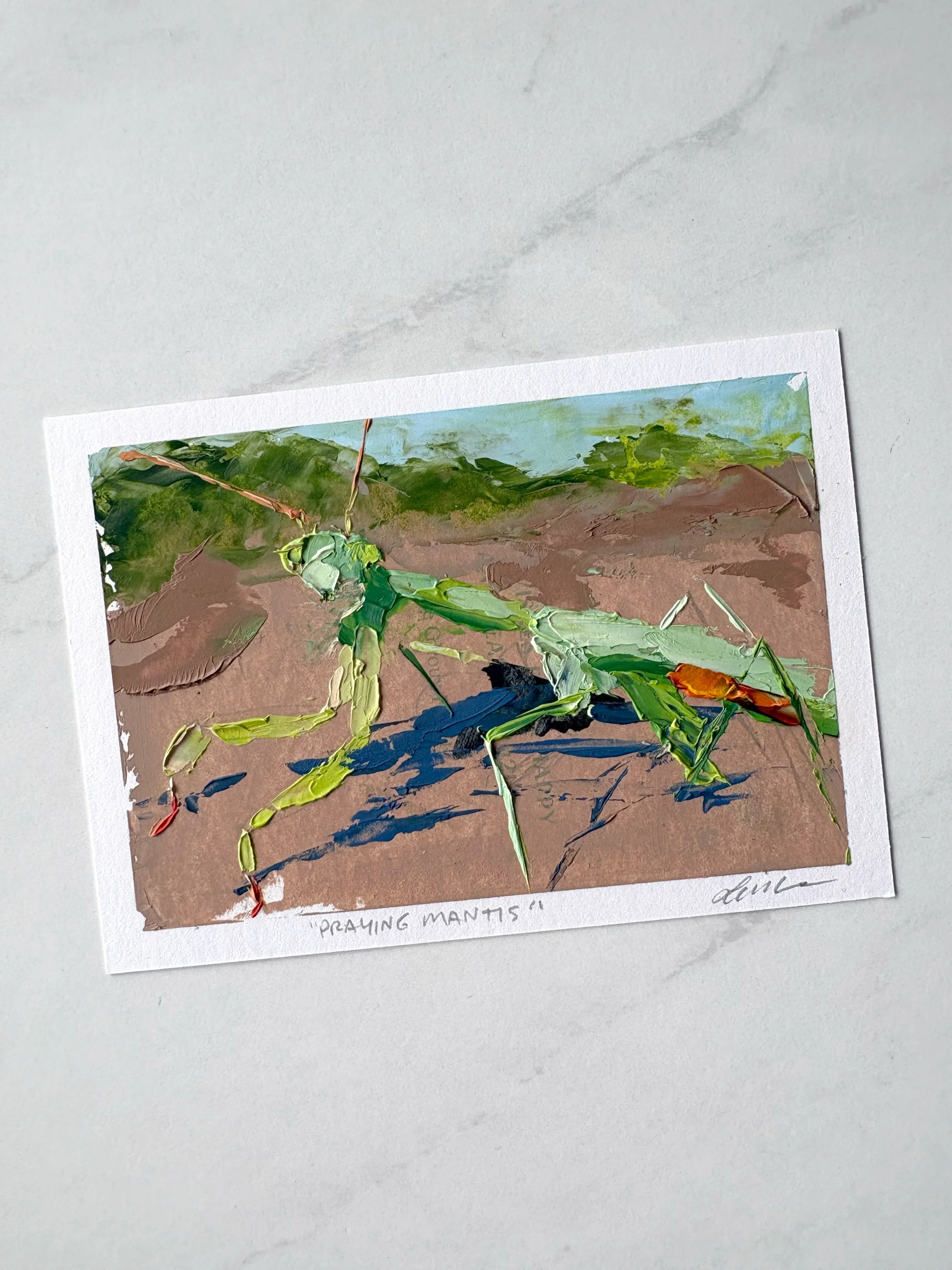 C.prayingmantis.jpg