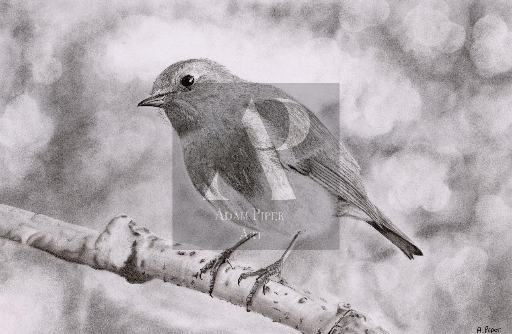 Robin.