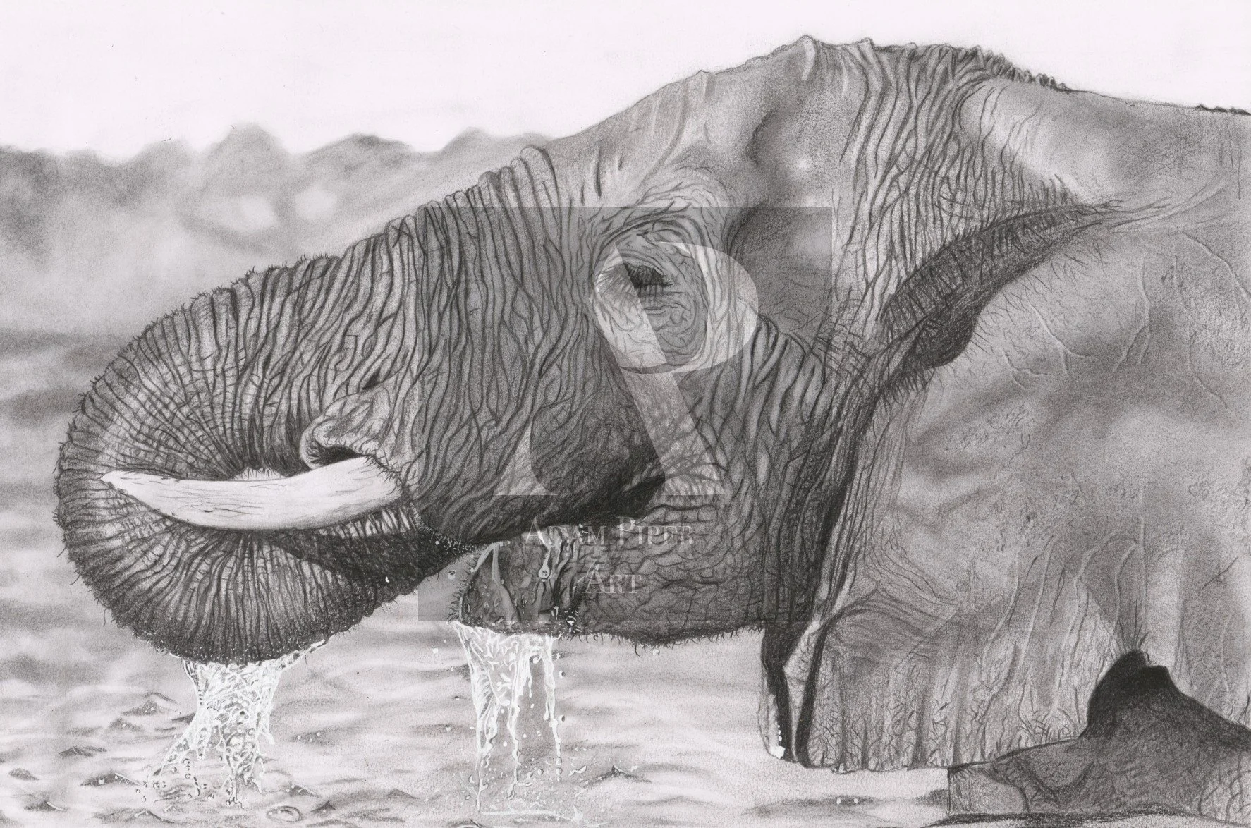 Elephant.