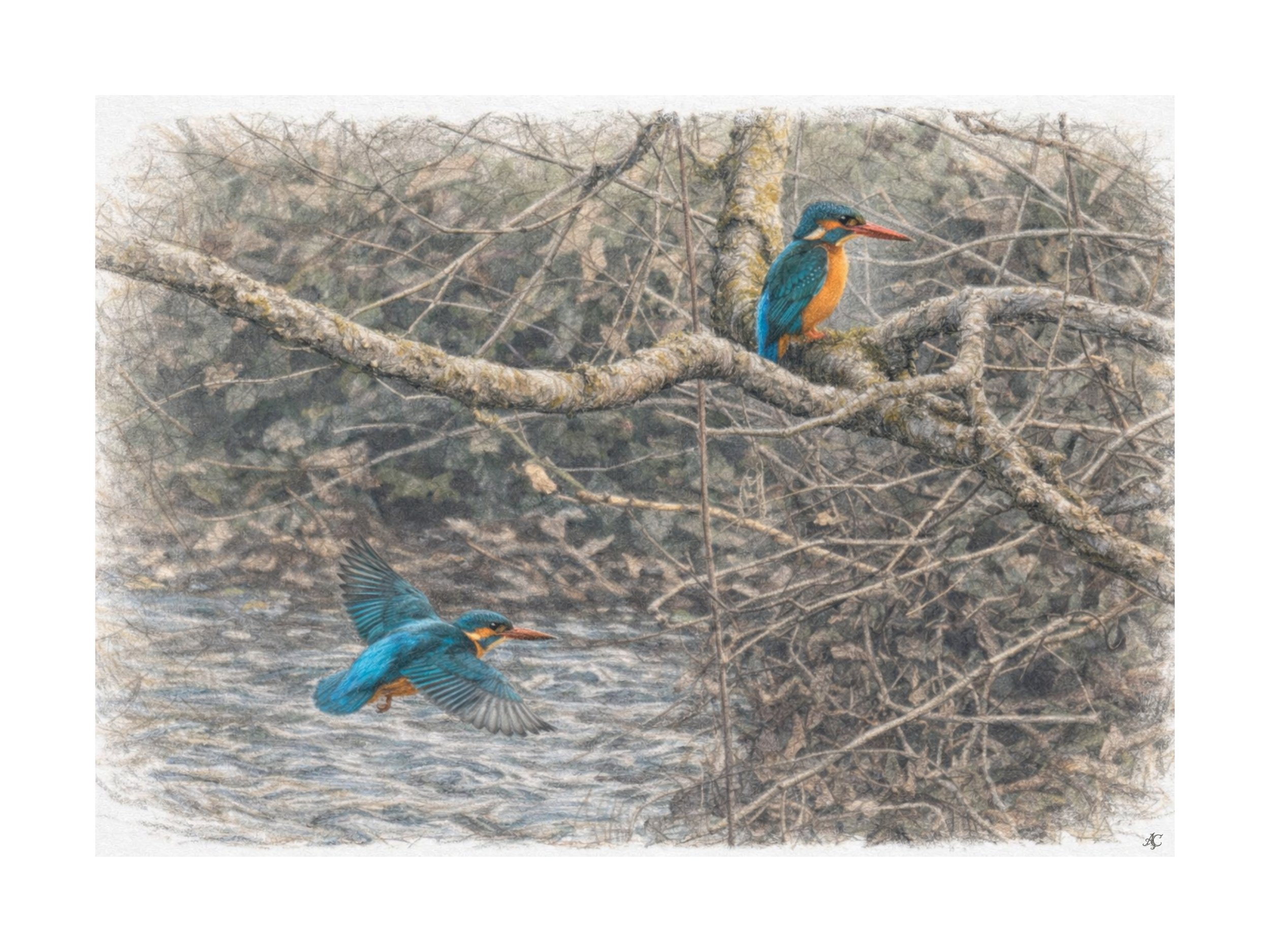 Caccia alla Poiana: un giorno di fine inverno al parco Adda Nord. 