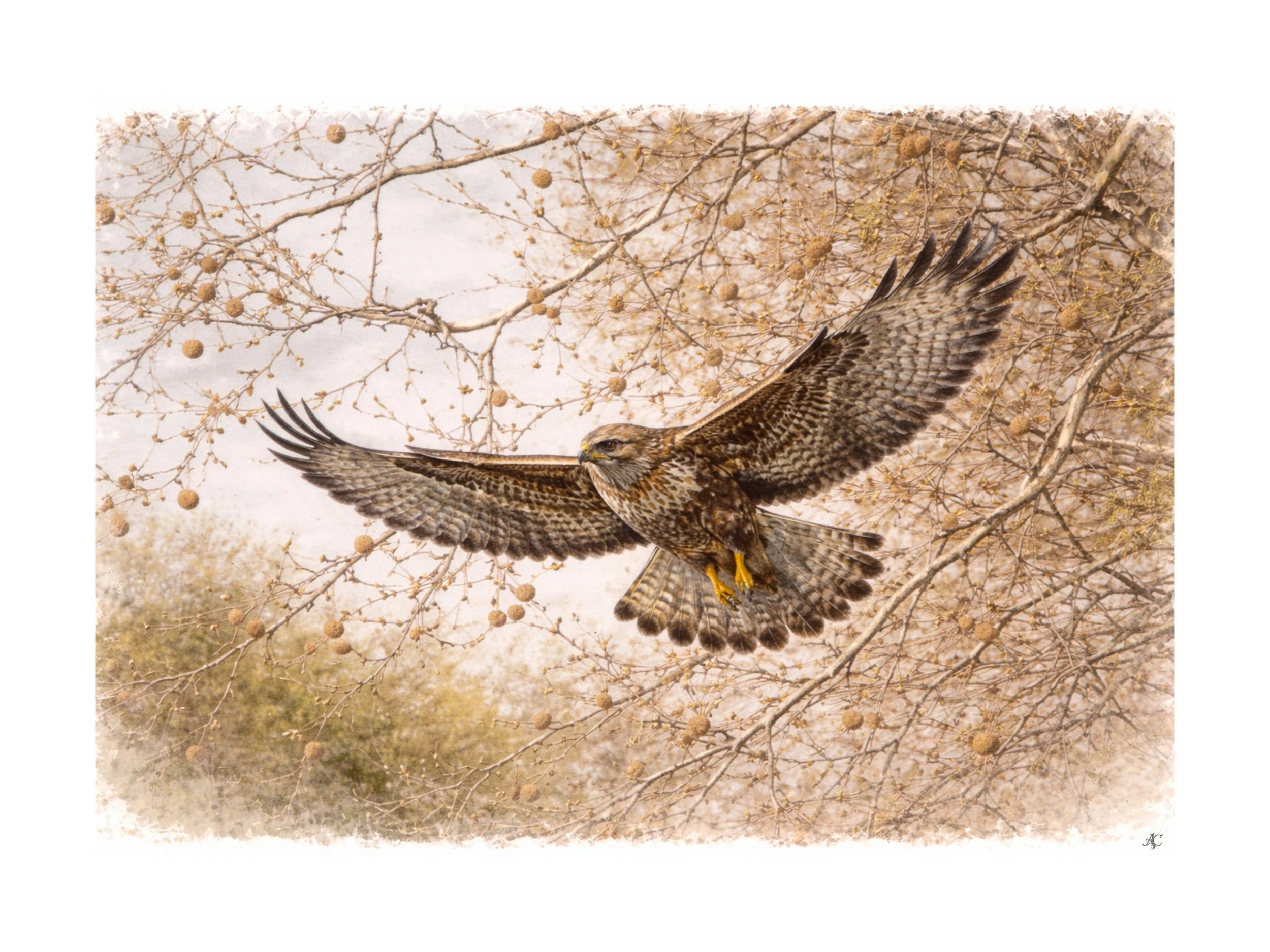 Field Journal — Day 27 Marzo | Campagna Padana