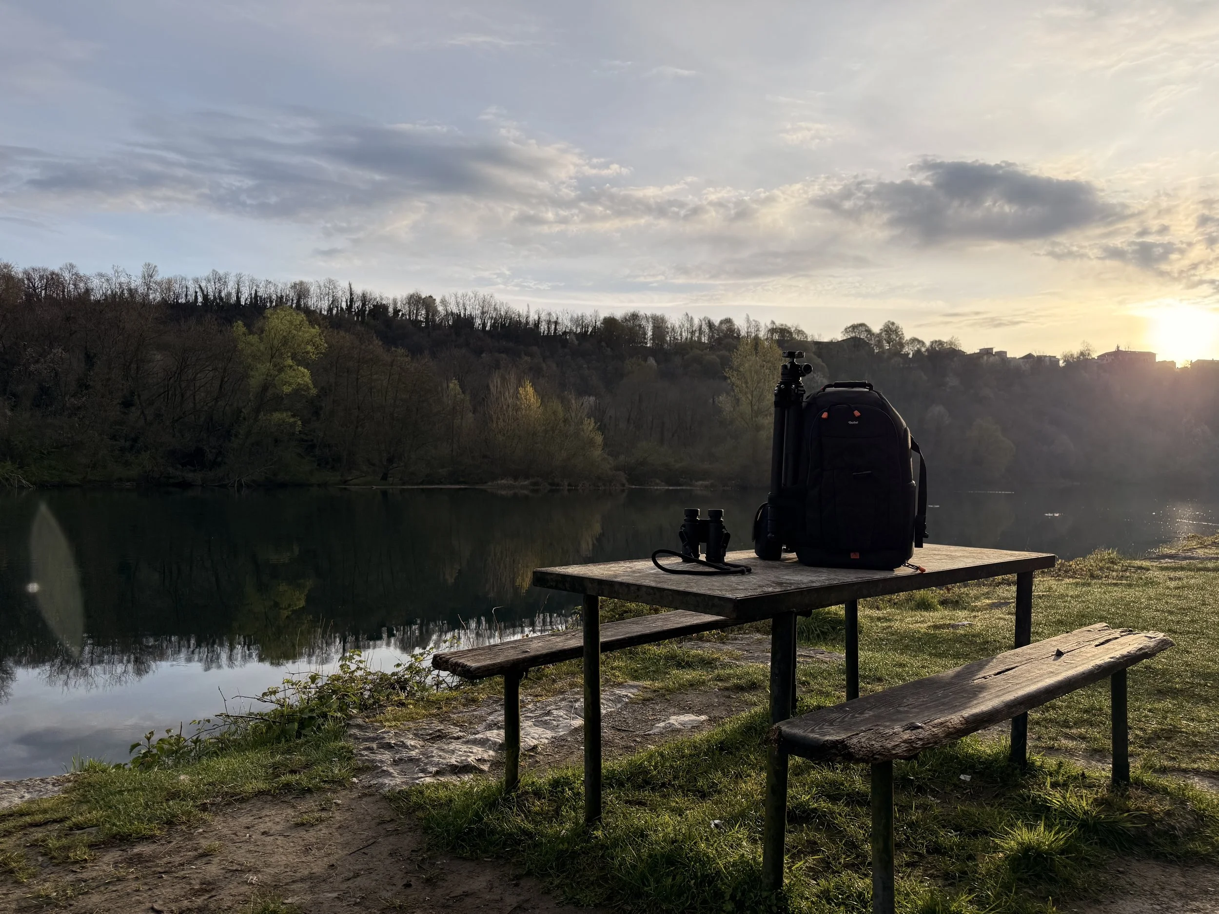 Field Journal — Day 29 Marzo | Parco Adda Nord