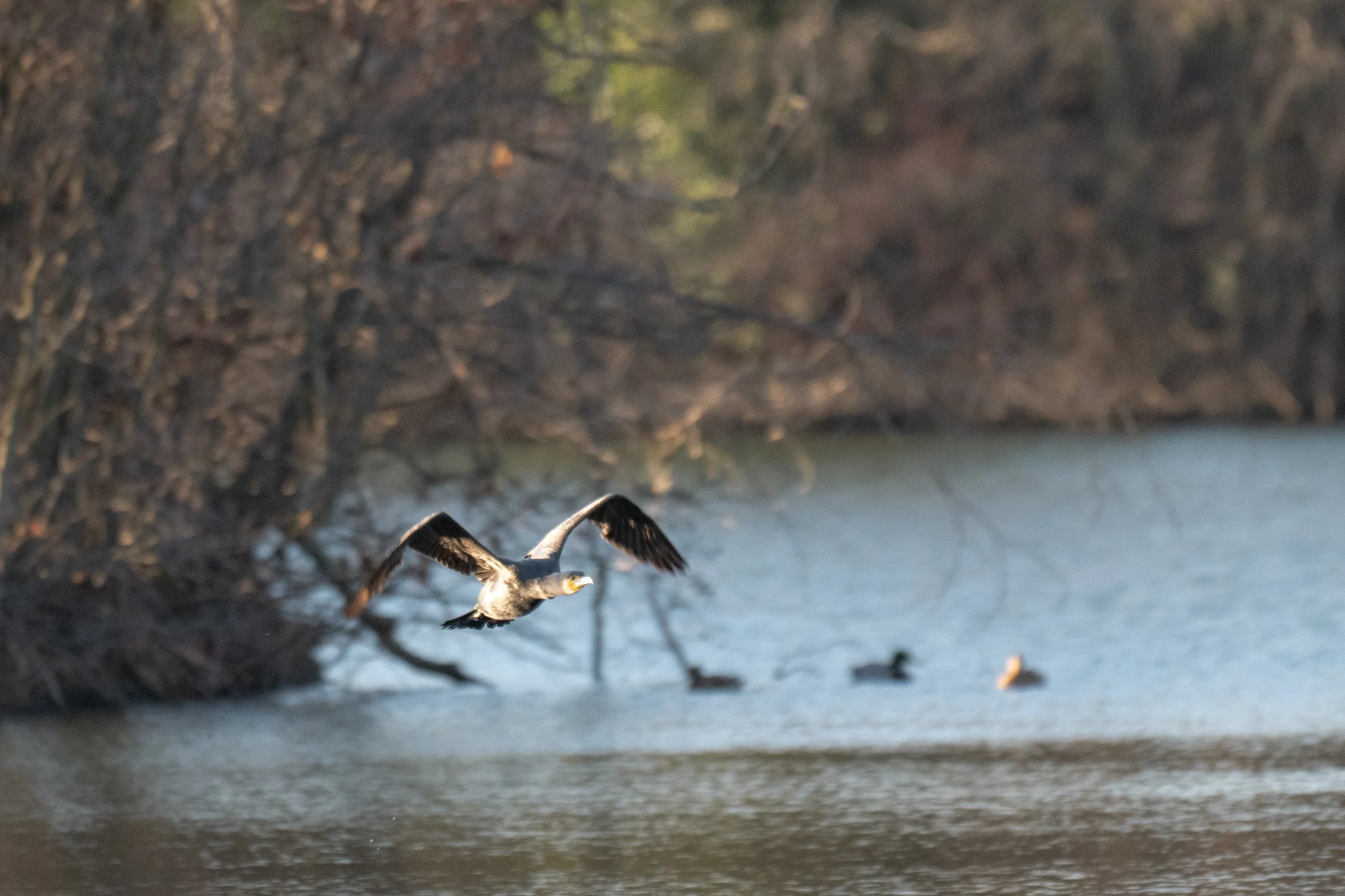 Test rep 2 (1 di 1) copia 5.jpg