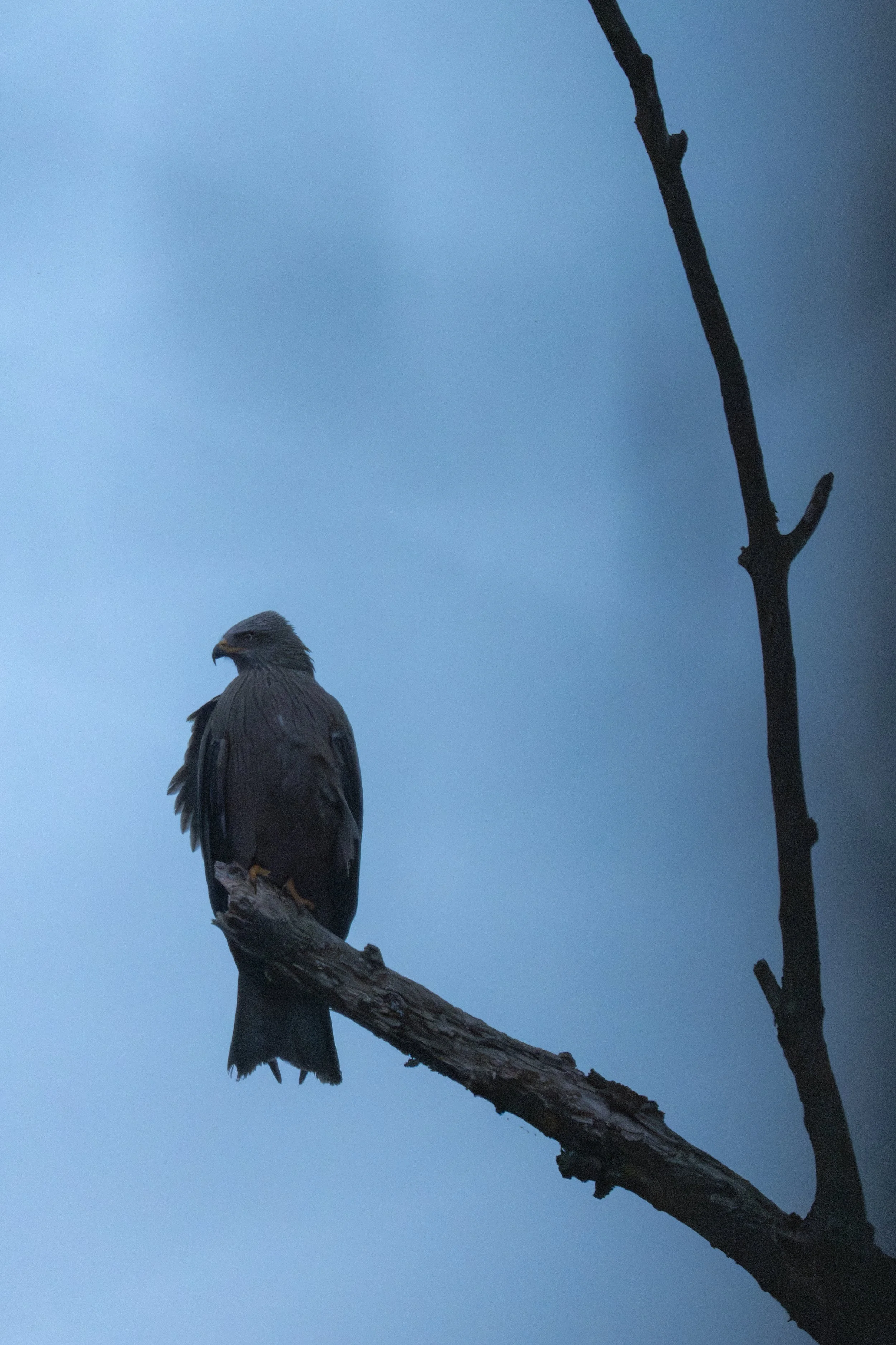 Test rep 2 (9 di 13).jpg