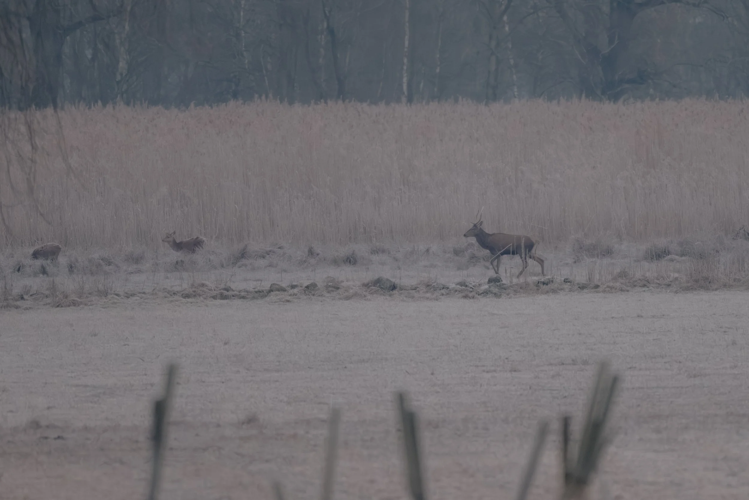 Test rep 2 (5 di 8).jpg