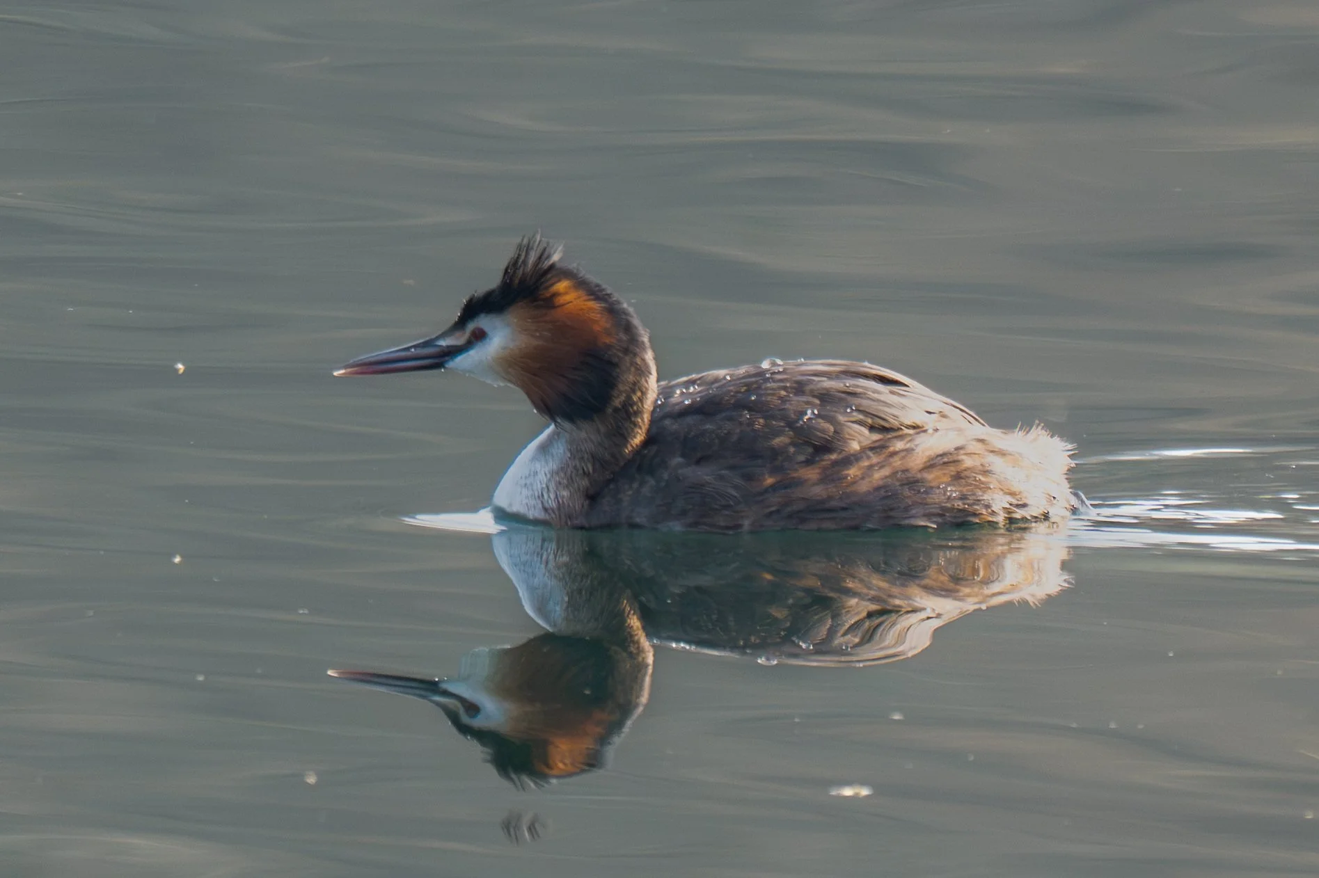 Test rep 2 (21 di 61).jpg