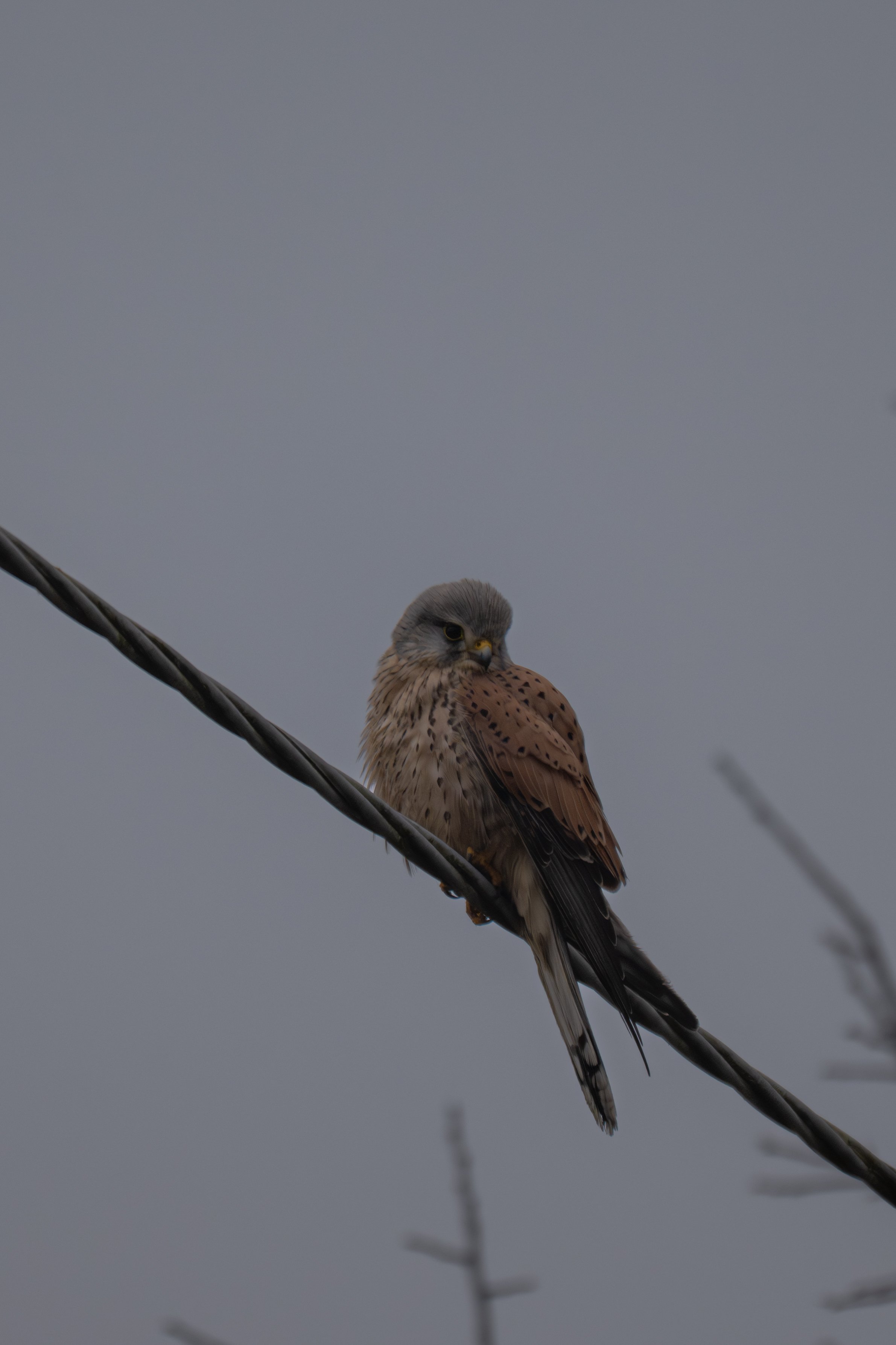 Test rep 2 (9 di 11).jpg