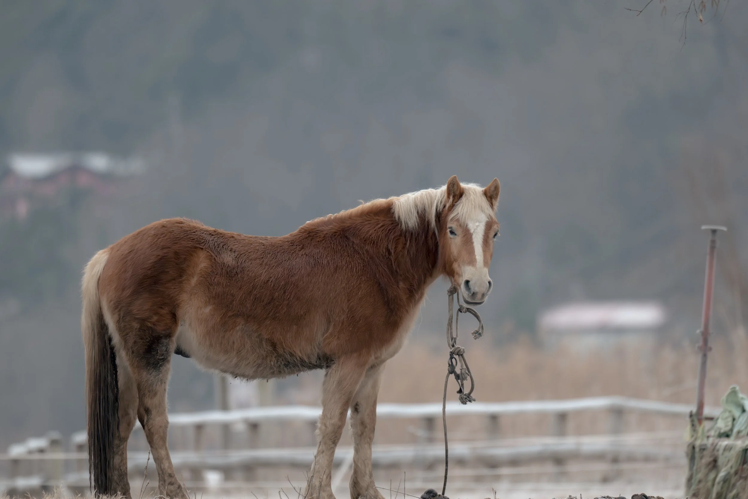 Test rep 2 (8 di 8).jpg