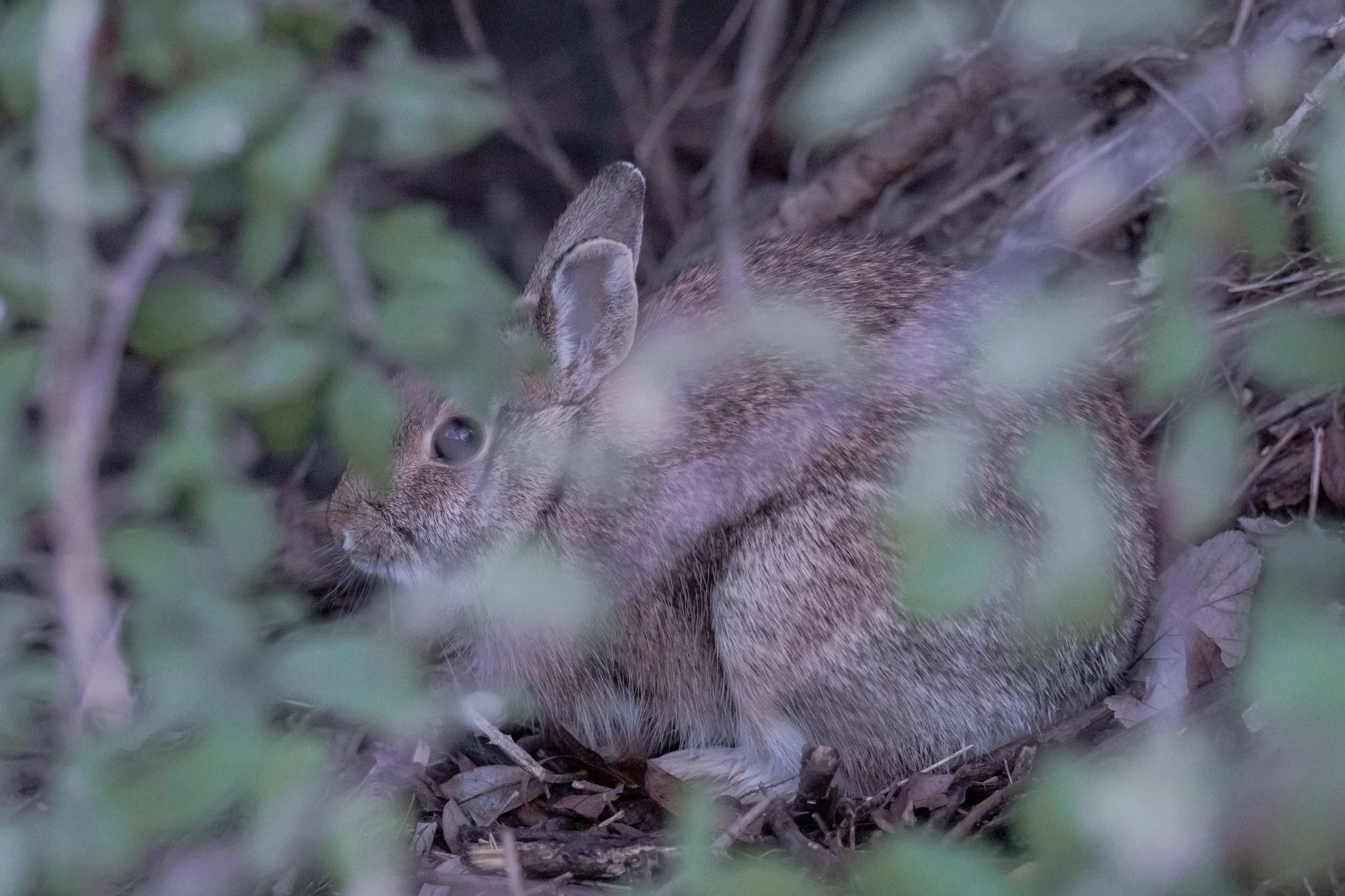 Test rep 2 (1 di 1) copia 2.jpg