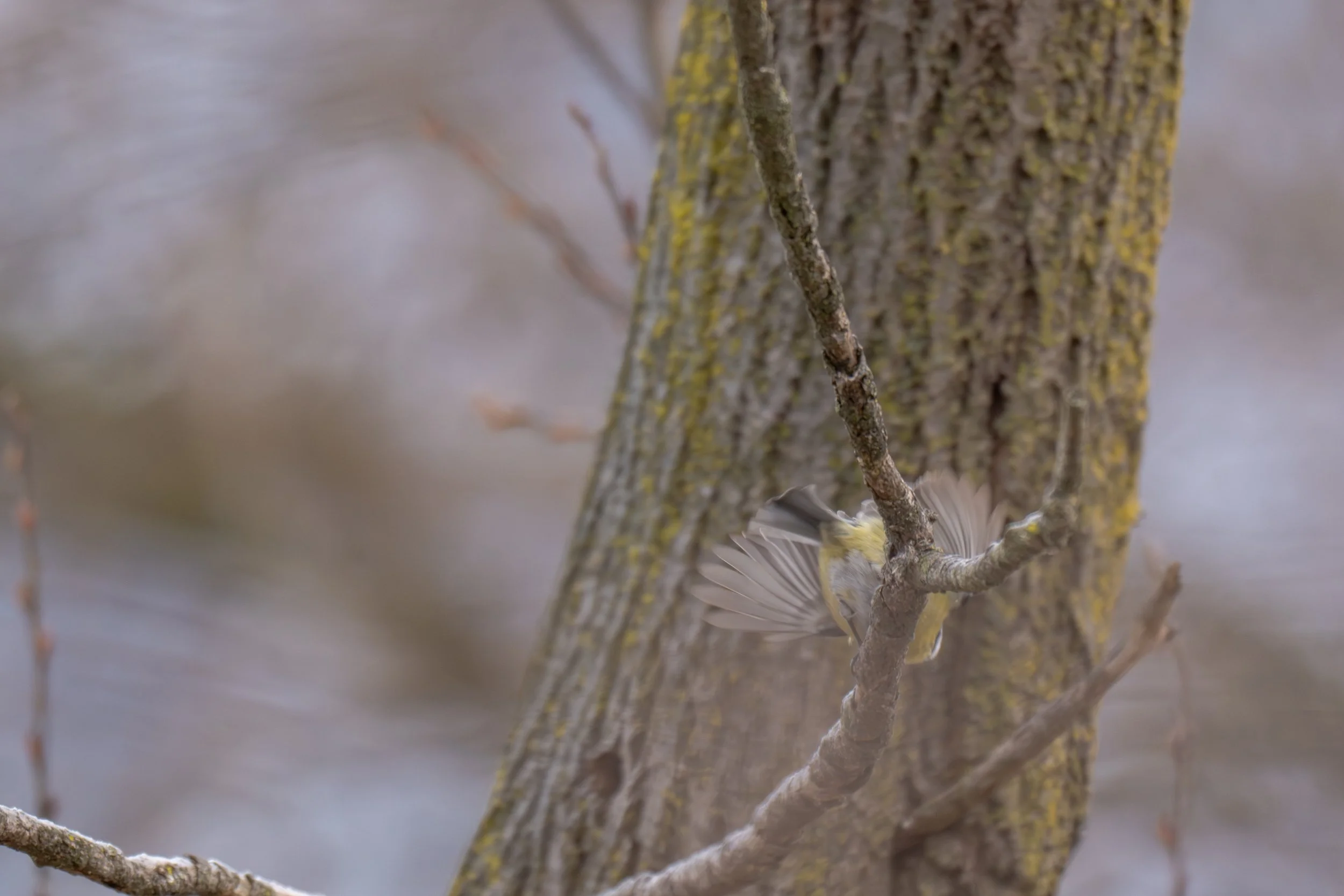 Test rep 2 (11 di 11).jpg