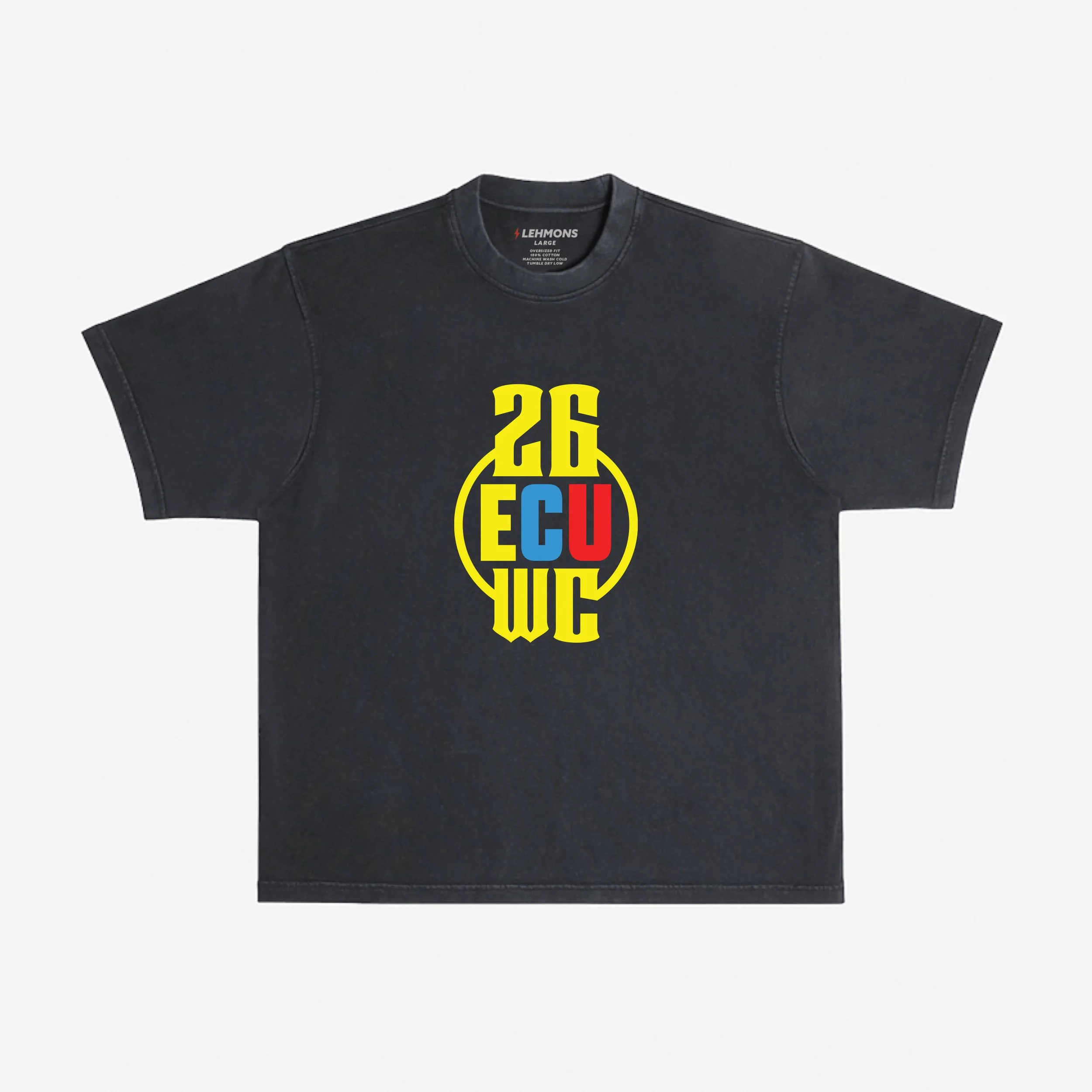 Ecuador World Cup Qualifier 01.jpg