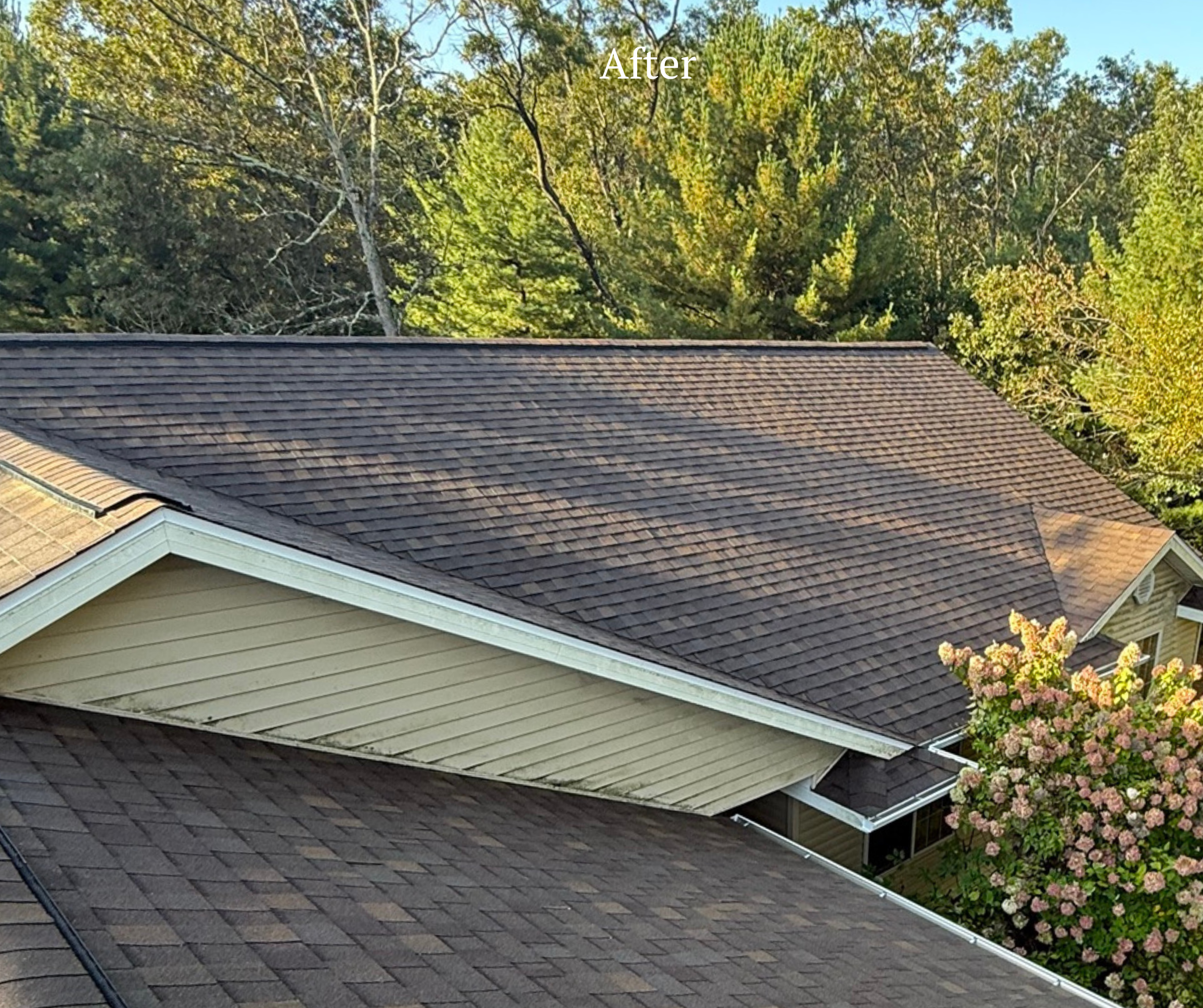 Aerial view of a house with a brown-shingled roof, surrounded by trees and flowering shrubbery, with a small part labeled 'After' at the top.