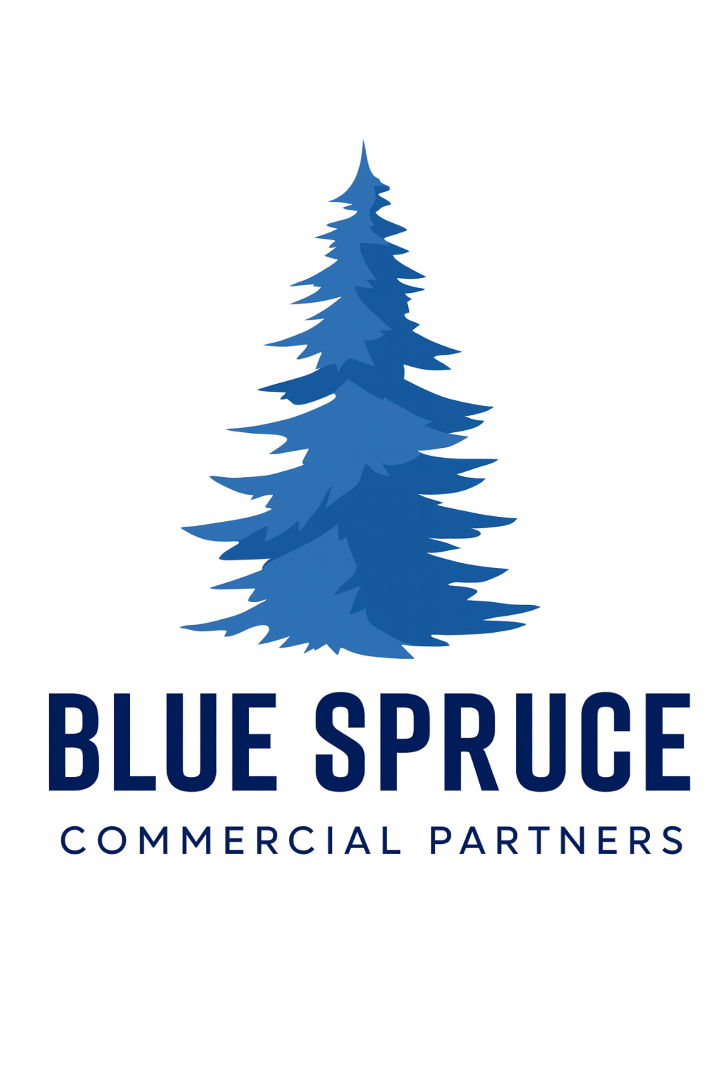 Blue Spruce Commercial Partners