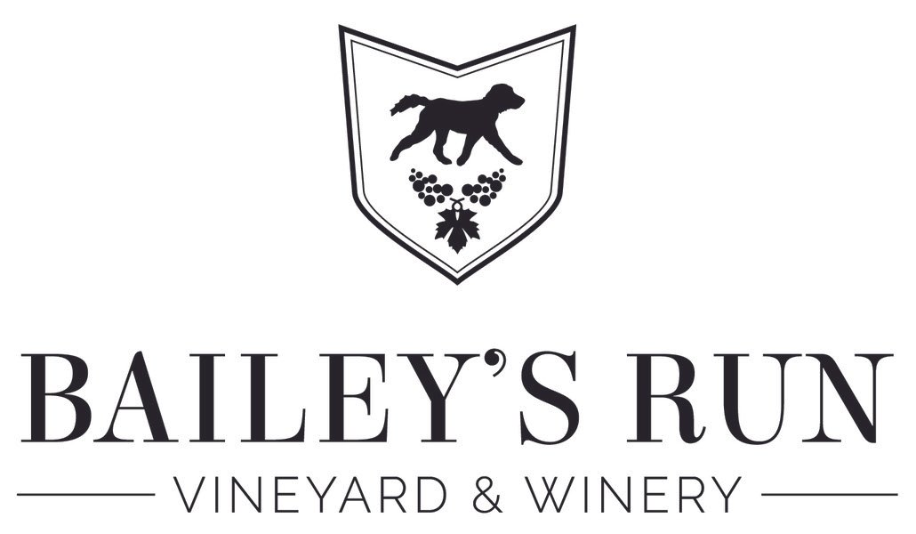 baileys run logo.jpeg