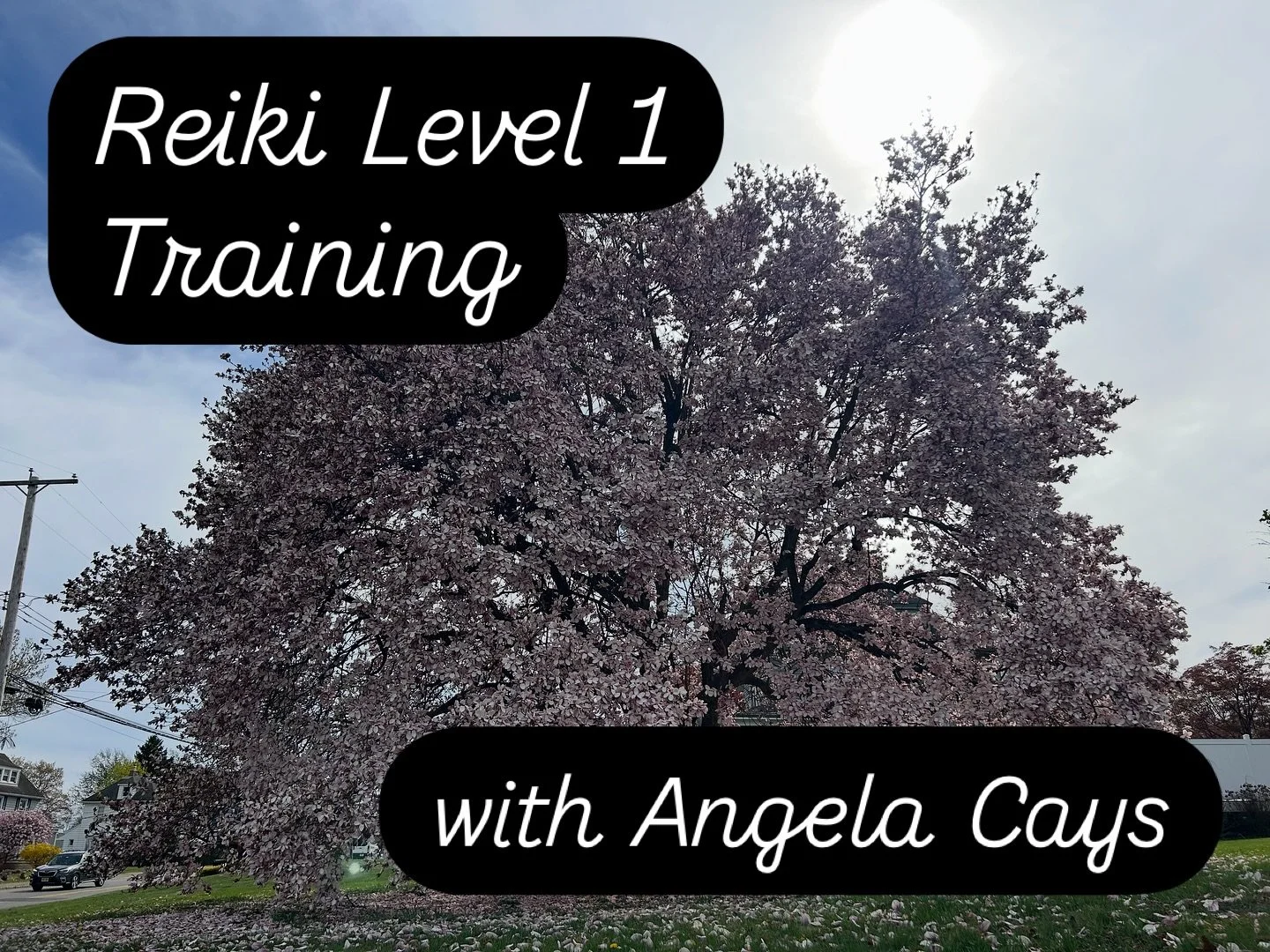 Sunday, April 27
12:00pm - 6:30pm
One spot left! Registration link in bio under workshops

Reiki is a beautiful, self-empowering healing practice that can be harnessed and practiced by everyone. Reiki promotes deep relaxation, assists in the body&rsq