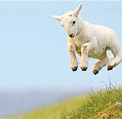 Happy Spring!!! 🌷Spring Sale Begins Today!!!
https://conta.cc/4kGUaBi