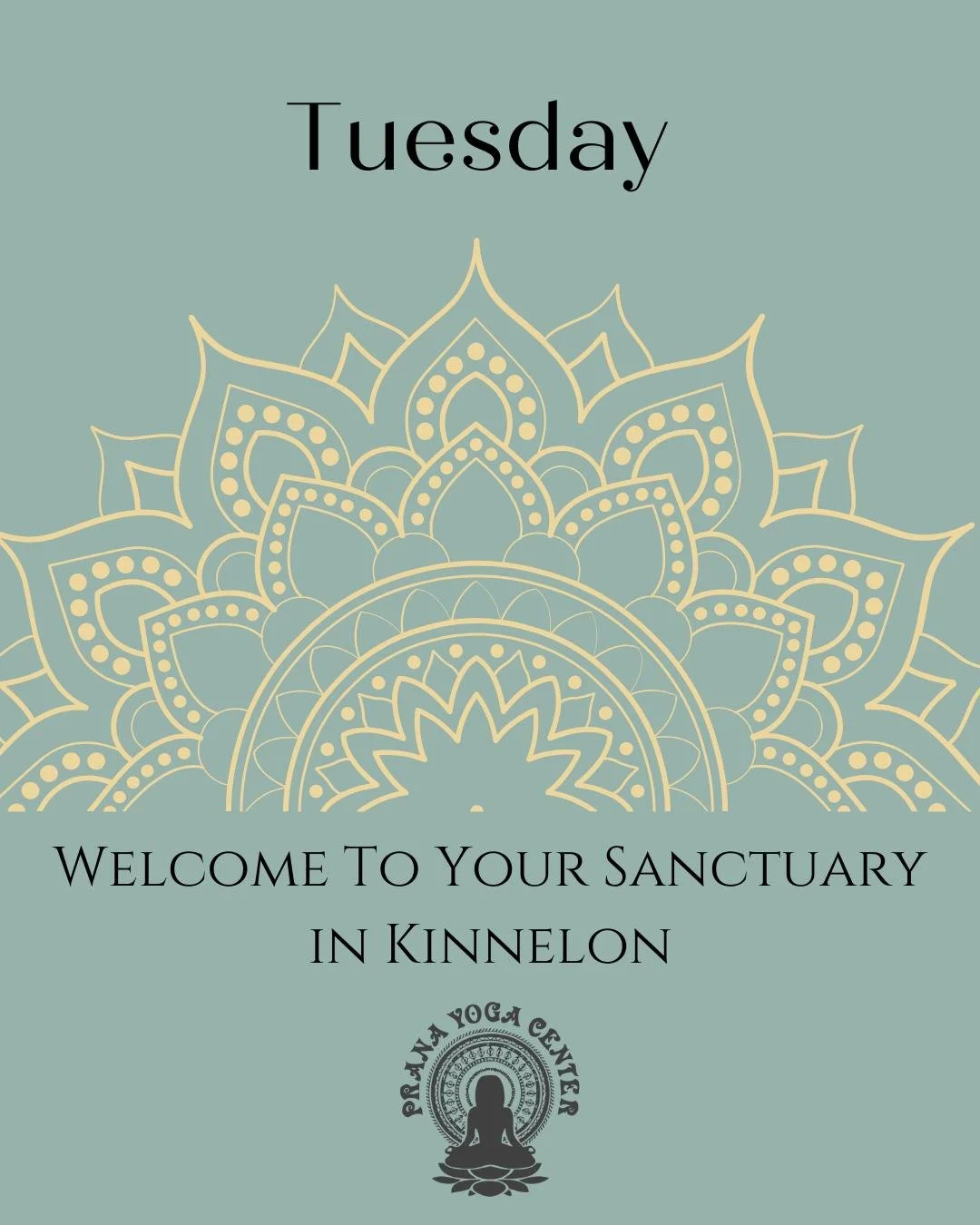 We&rsquo;re looking forward to practicing with you today 🤍
Here&rsquo;s what&rsquo;s on the schedule:

7:00am (60 min) HYBRID- Aligned Flow&reg; Open Level Morning Edition - Christy Linson

9:00am (75 min) HYBRID- Kripalu All Levels - Angela Cays 

