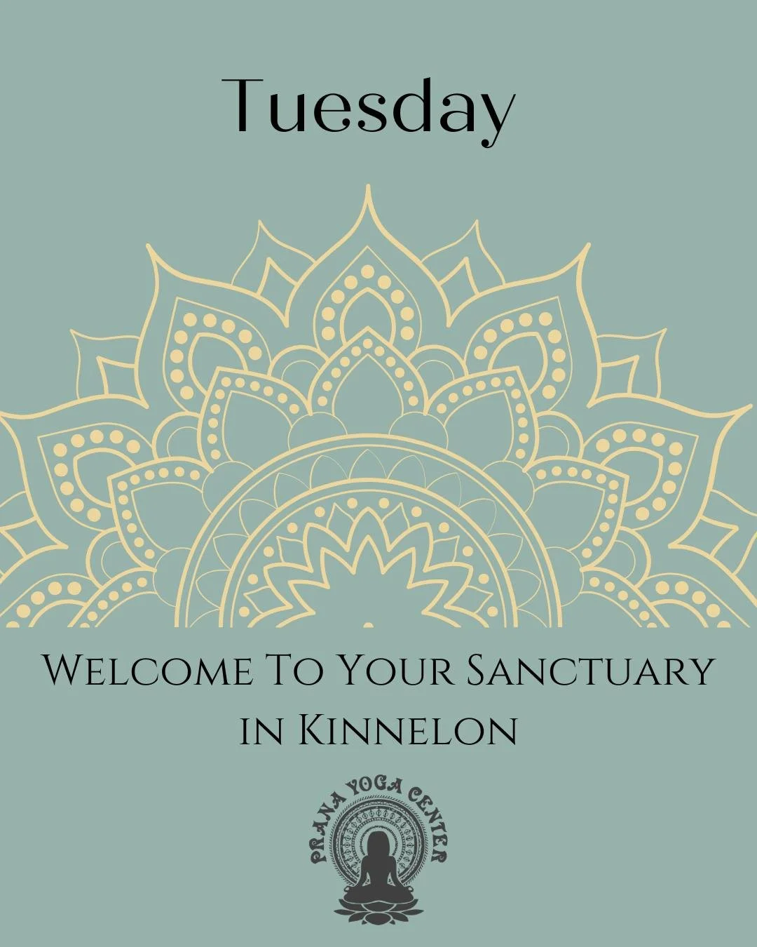 Here&rsquo;s how we&rsquo;re moving through the day together at the studio:

7:00am (60 min) HYBRID- Glow + Flow with Malia Luzzi

9:00am (75 min) HYBRID- Kripalu All Levels - Angela Cays 

9:30am (75 min) HYBRID- Aligned Flow&reg; Intermediate - Ive