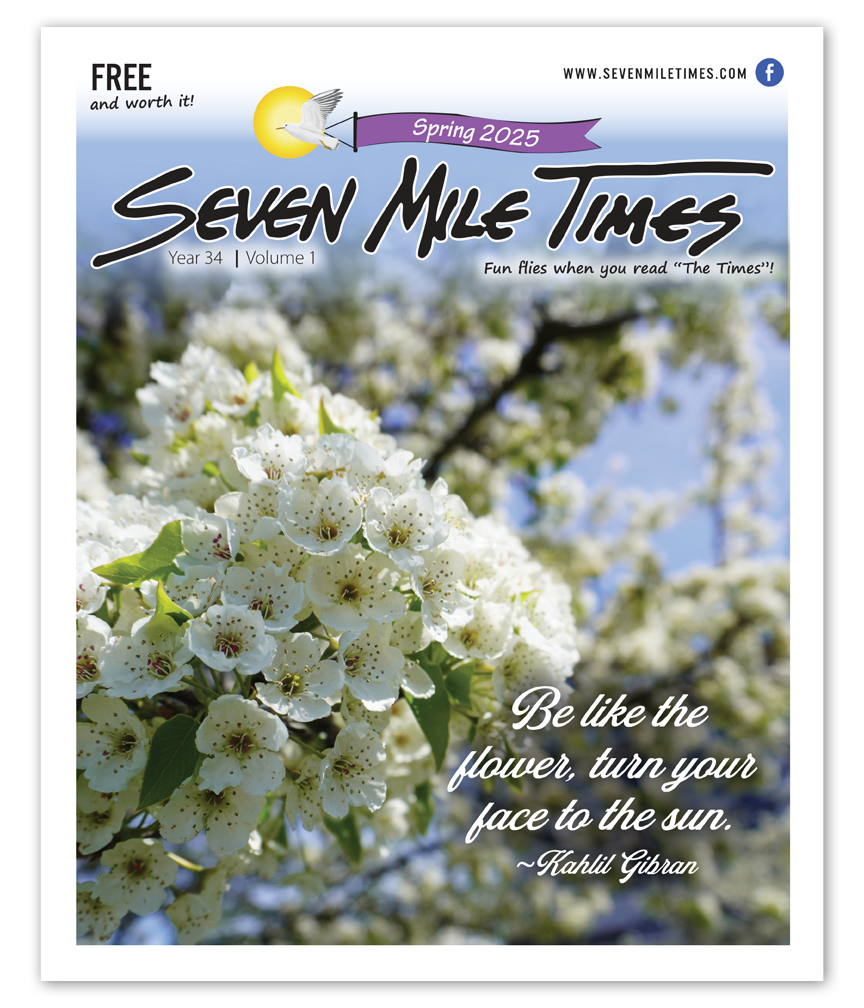 7MT Layouts -_01.png