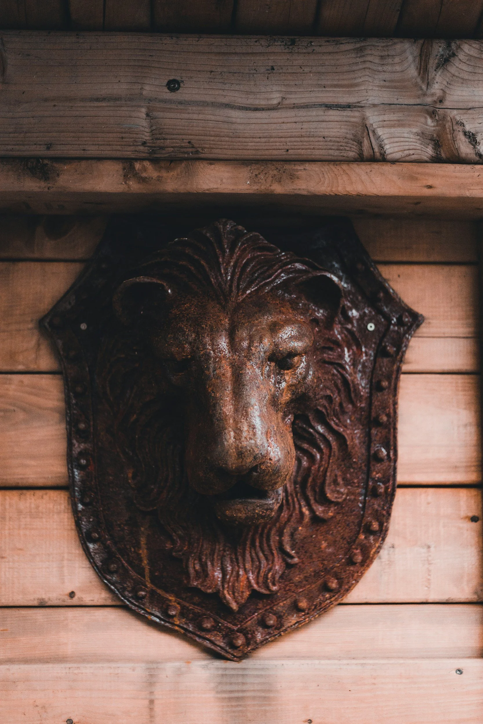 Metal lion's head door decoration mounted on a wooden wall.